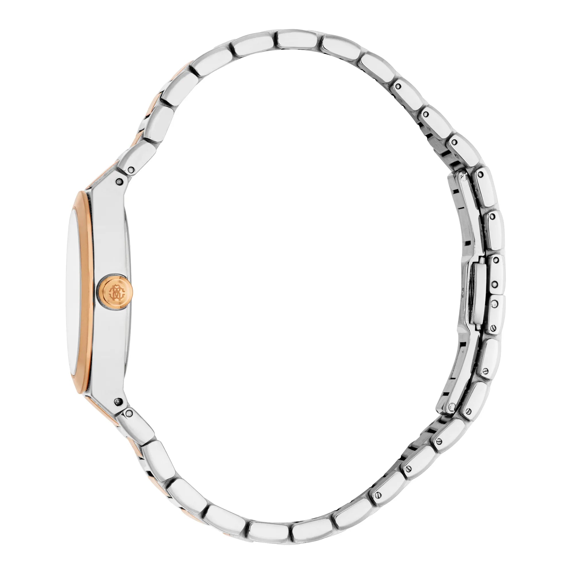 Roberto Cavalli Lady RC5L126M0075 image 2