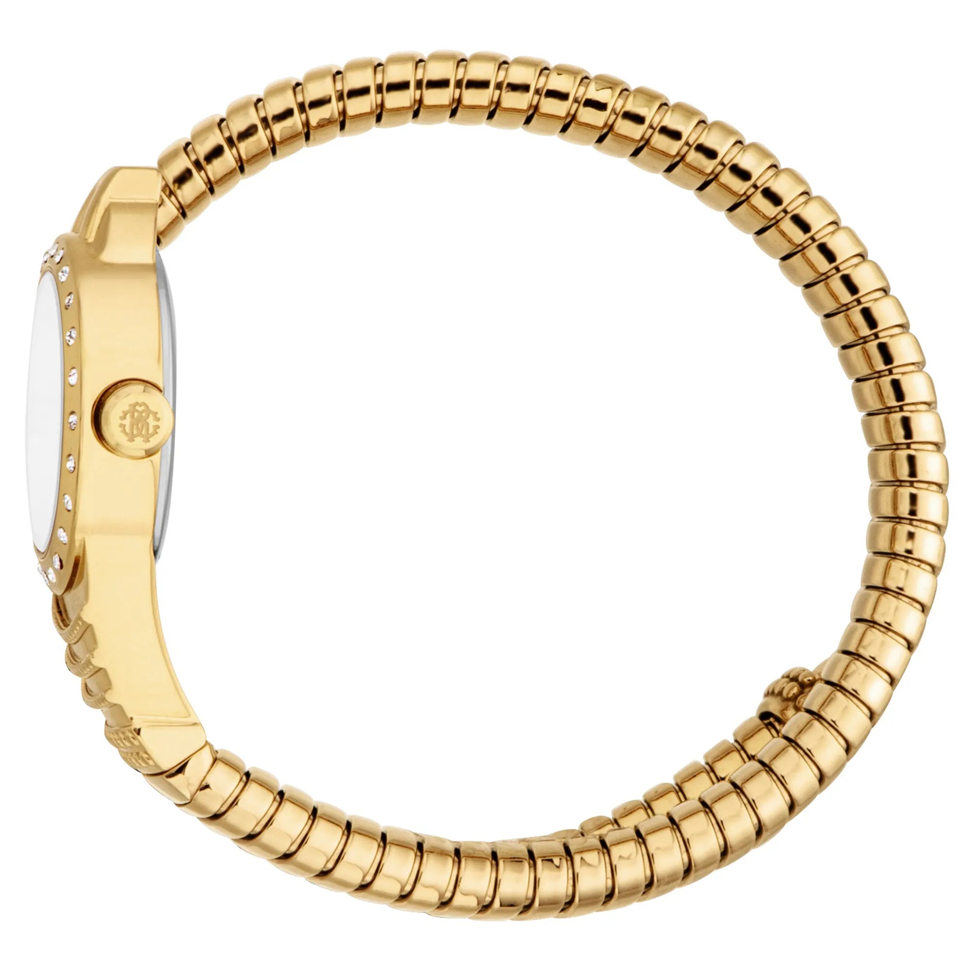 Roberto Cavalli Lady RC5L114M0025 image 2