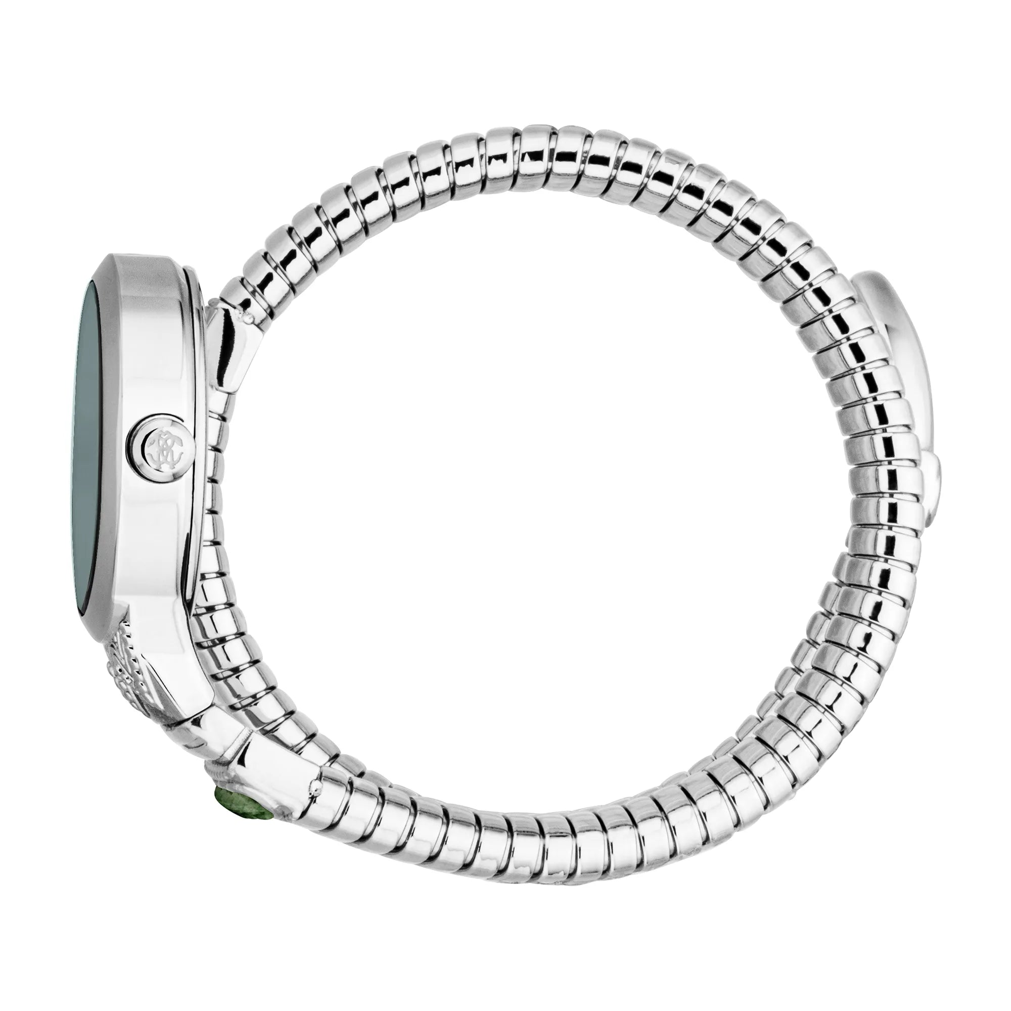 Roberto Cavalli Lady RC5L104M0015 image 2