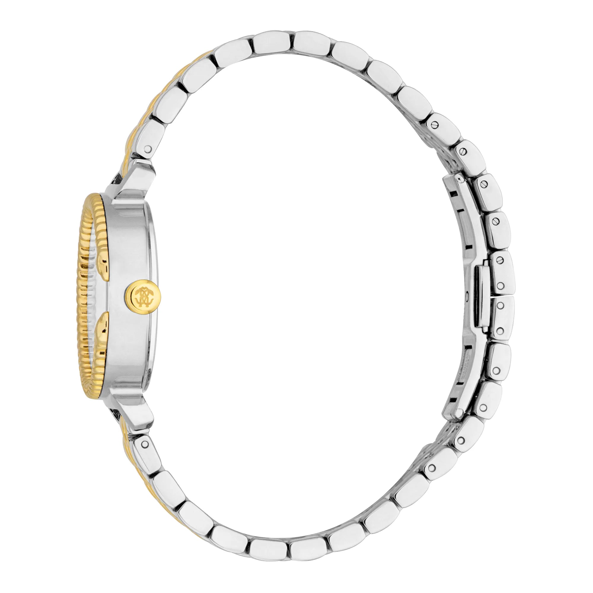 Roberto Cavalli Women's Origin Watch image 2