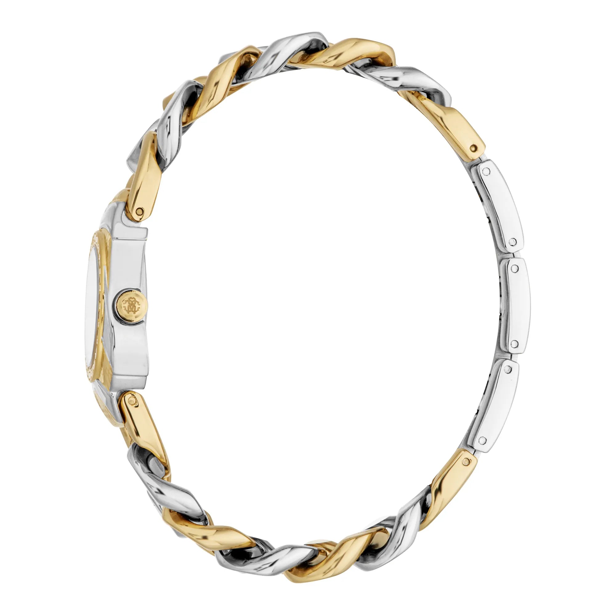 Roberto Cavalli Lady RC5L093M0055 image 2