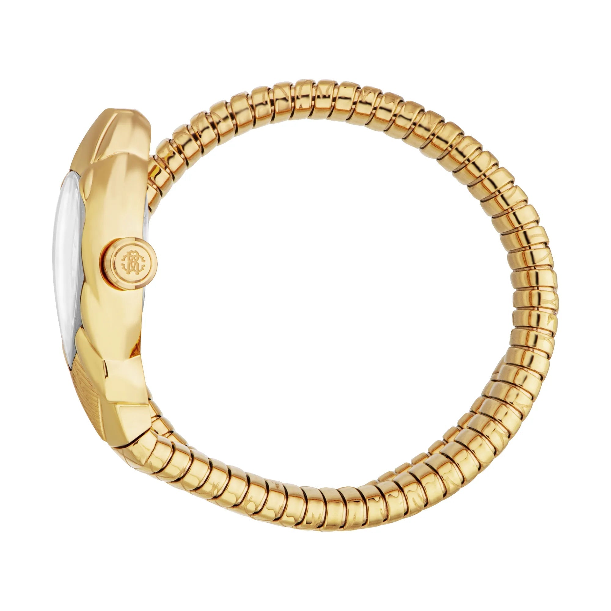 Roberto Cavalli Lady RC5L110M0035 image 2