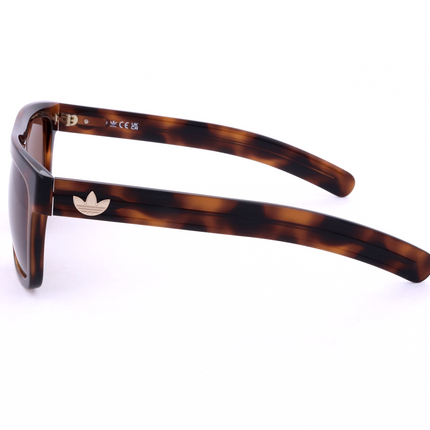 Adidas Original Unisex Acetate Sunglasses