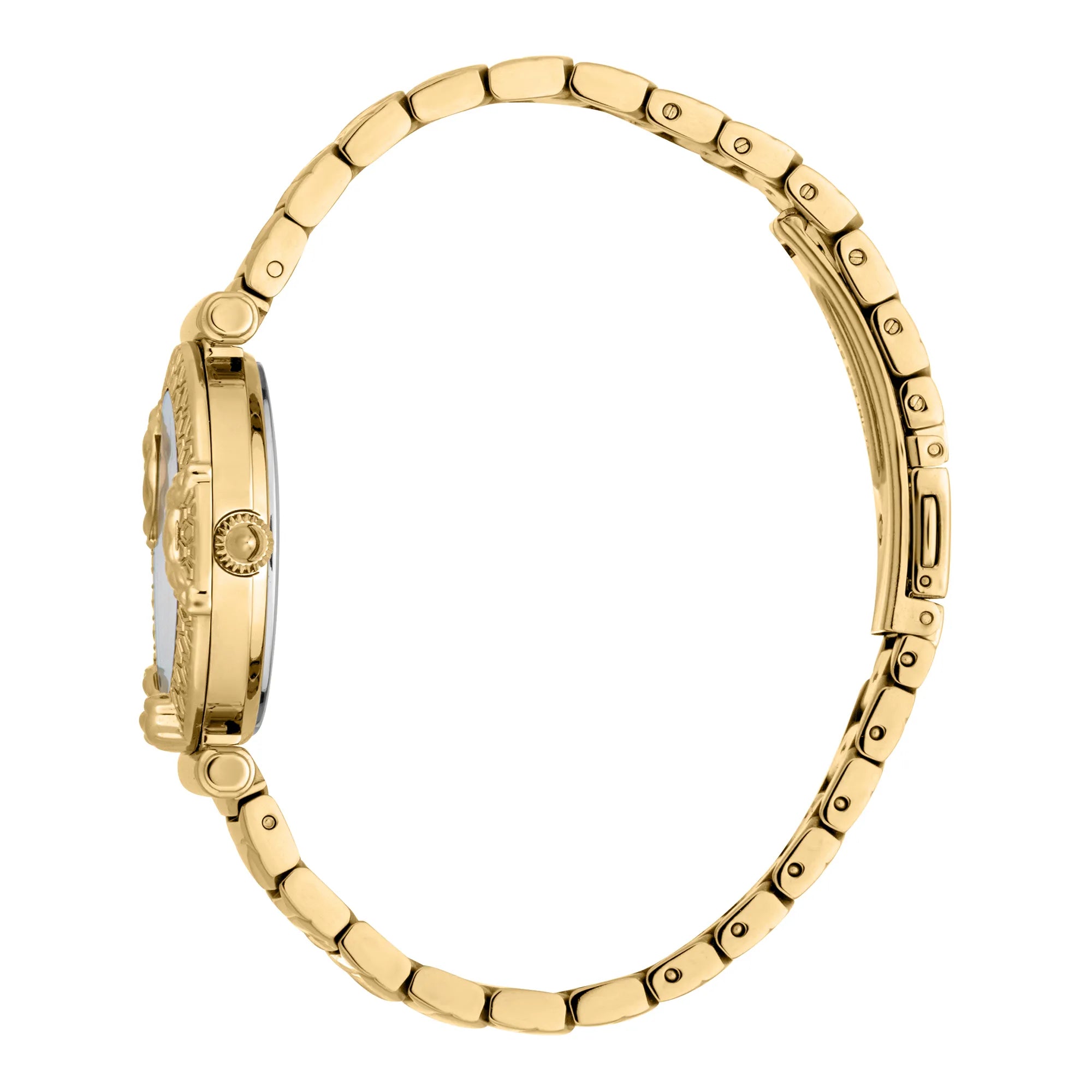 Just Cavalli Animalier Atrani Yellow Gold Silver image 2