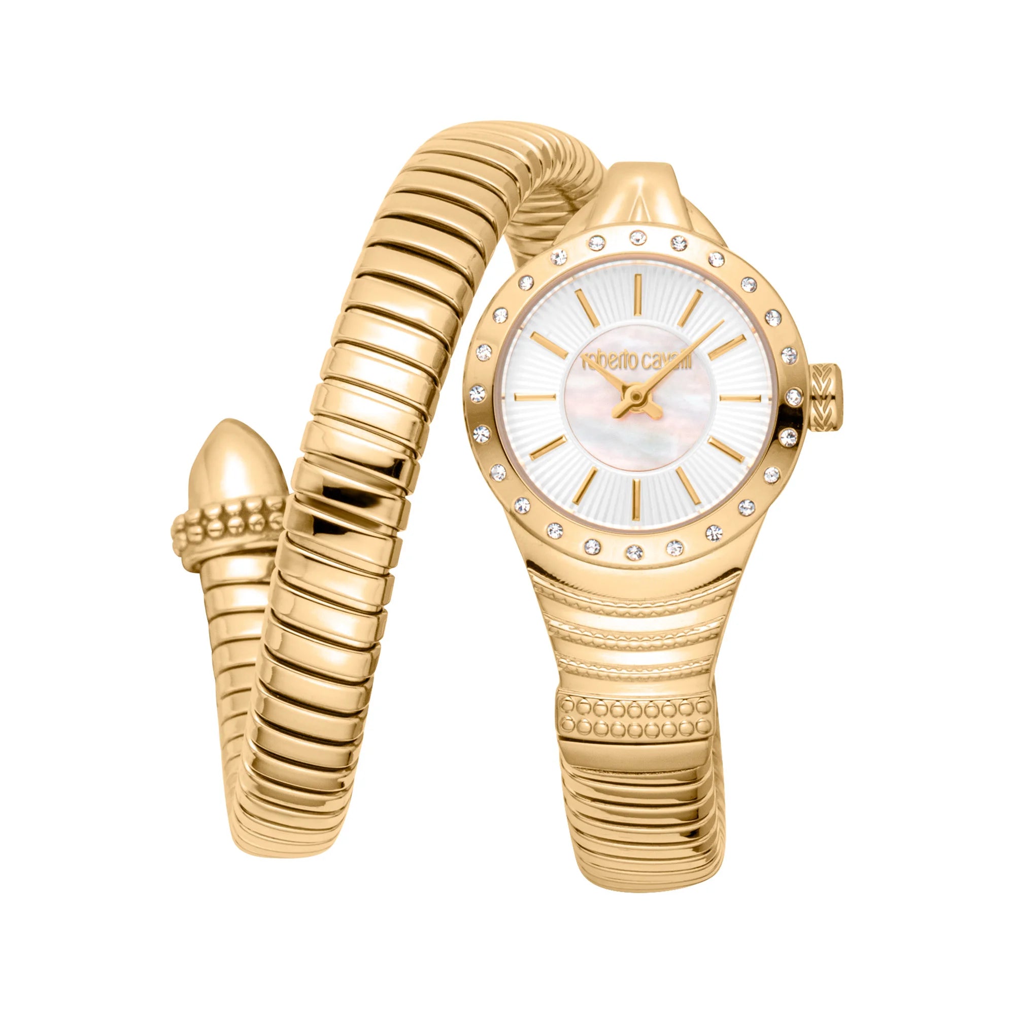 Roberto Cavalli Lady RC5L114M0025 image 0