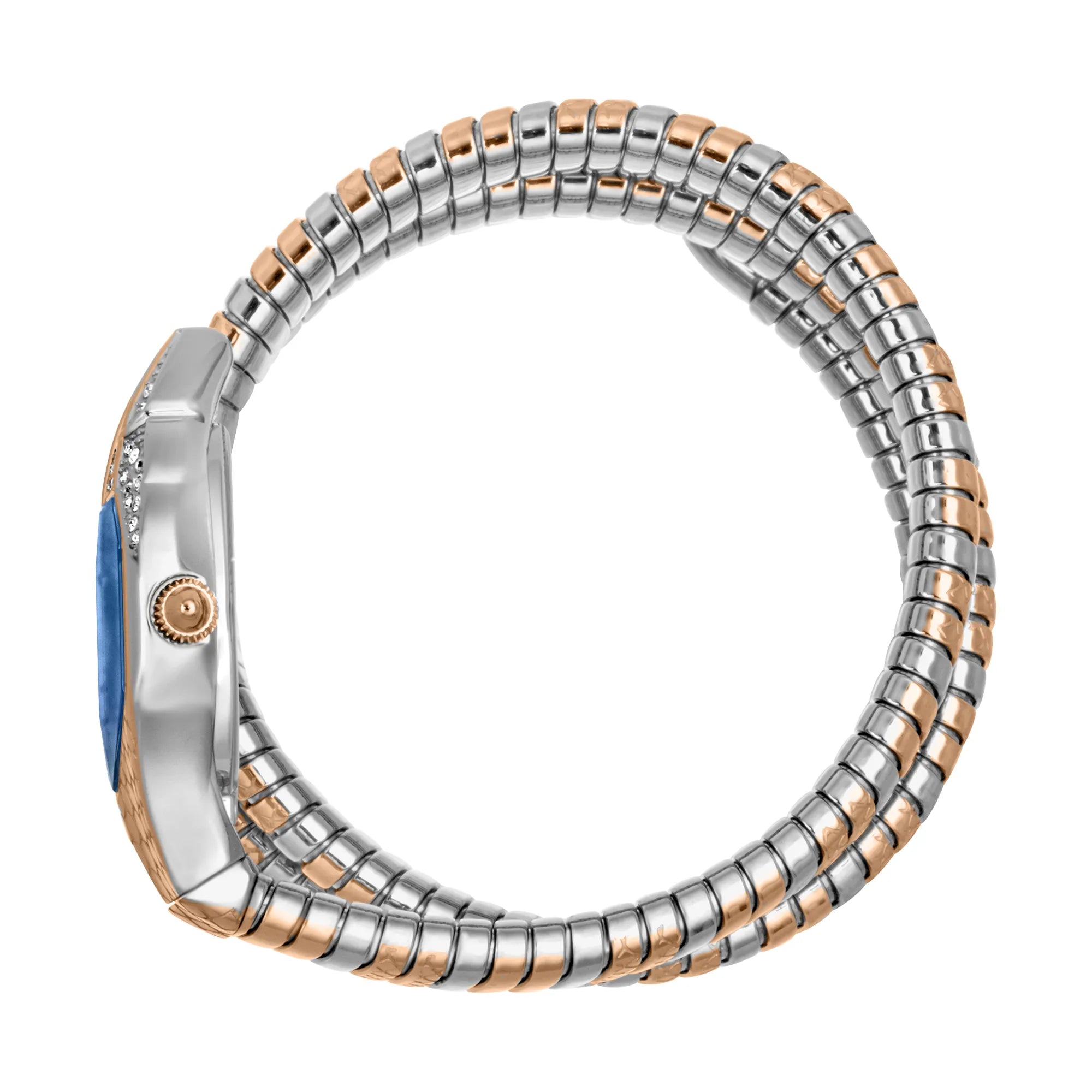 Just Cavalli Signature Snake Glam Evo 7 Doppio Two Tones RG Blue image 2