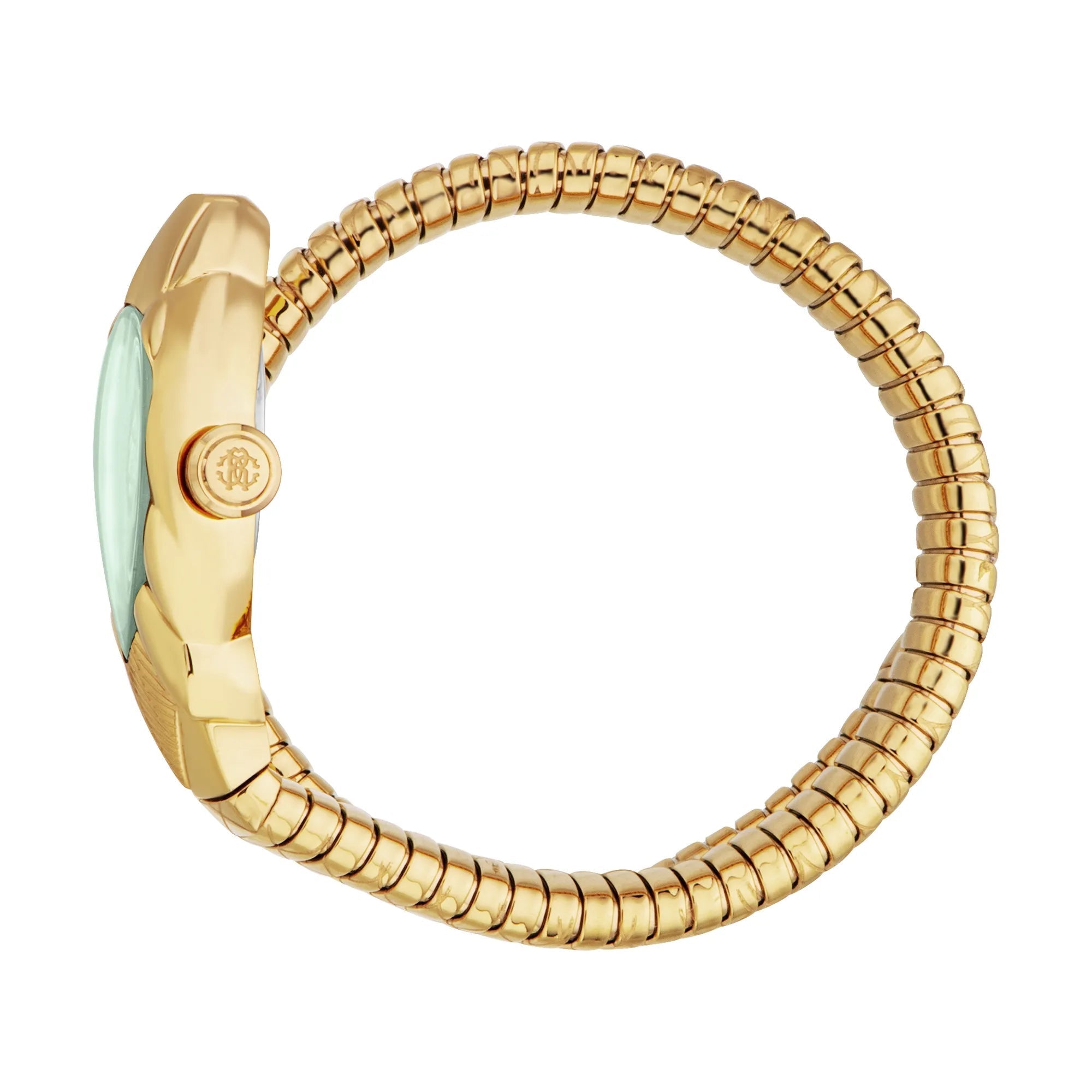 Roberto Cavalli Lady RC5L110M0045 image 2