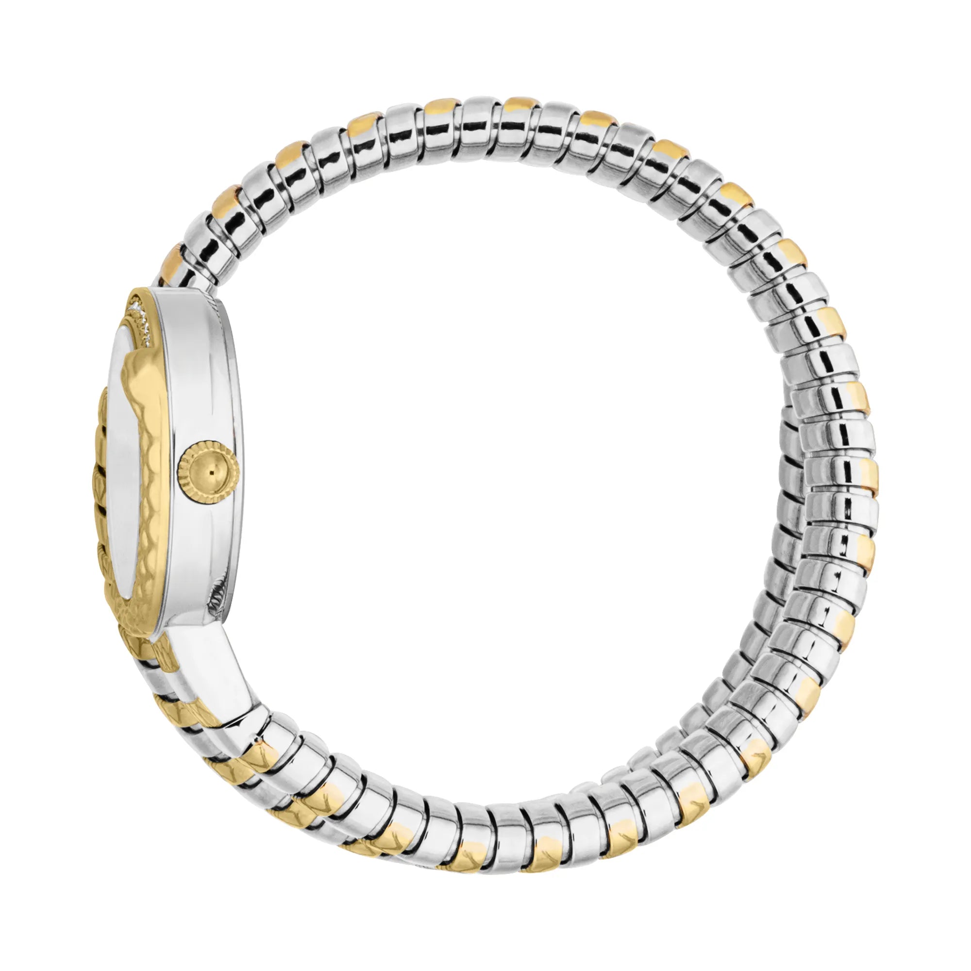 Just Cavalli Signature Snake Cerchio Snake Two Tones YG Silver Grey image 2