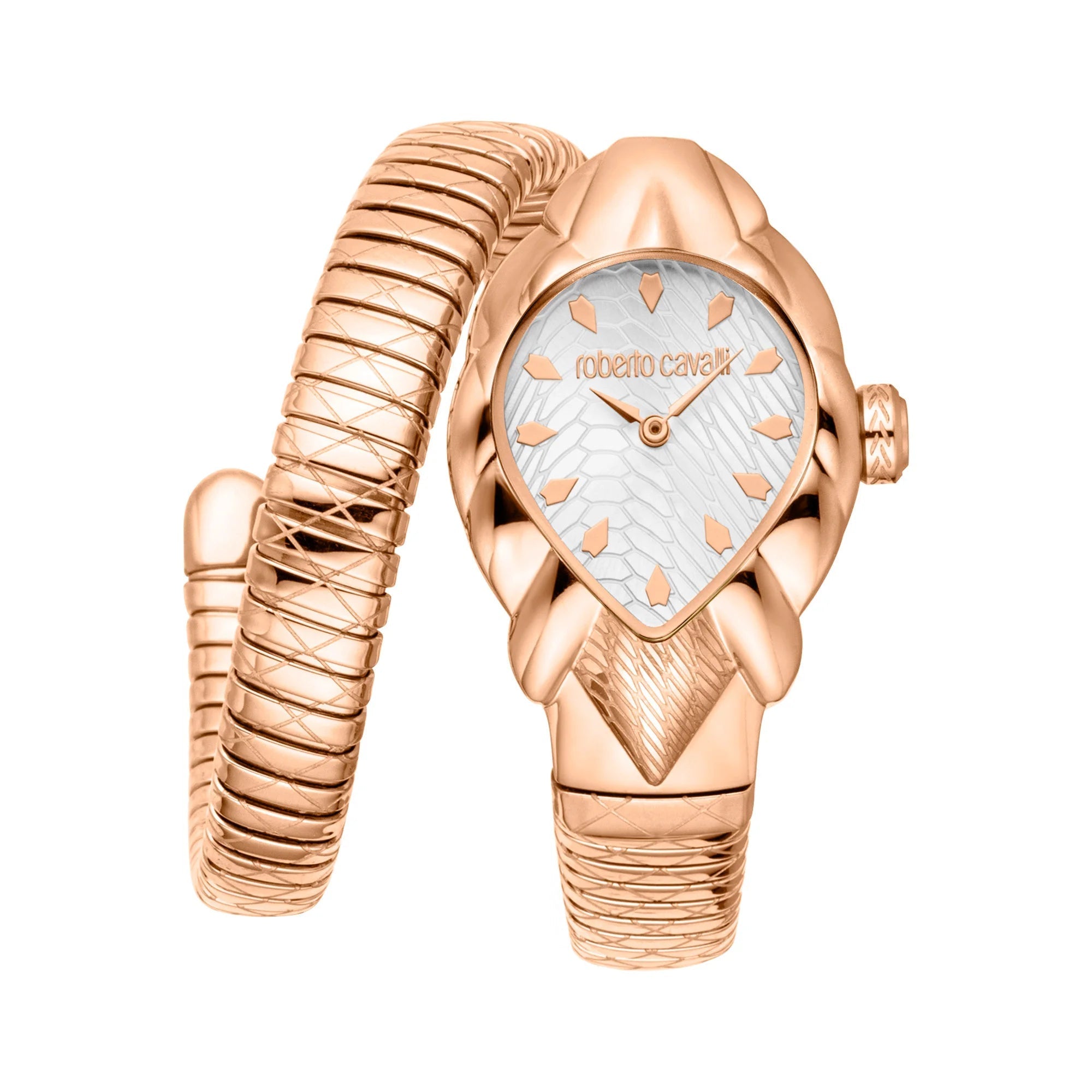 Roberto Cavalli Lady RC5L110M0055 image 0