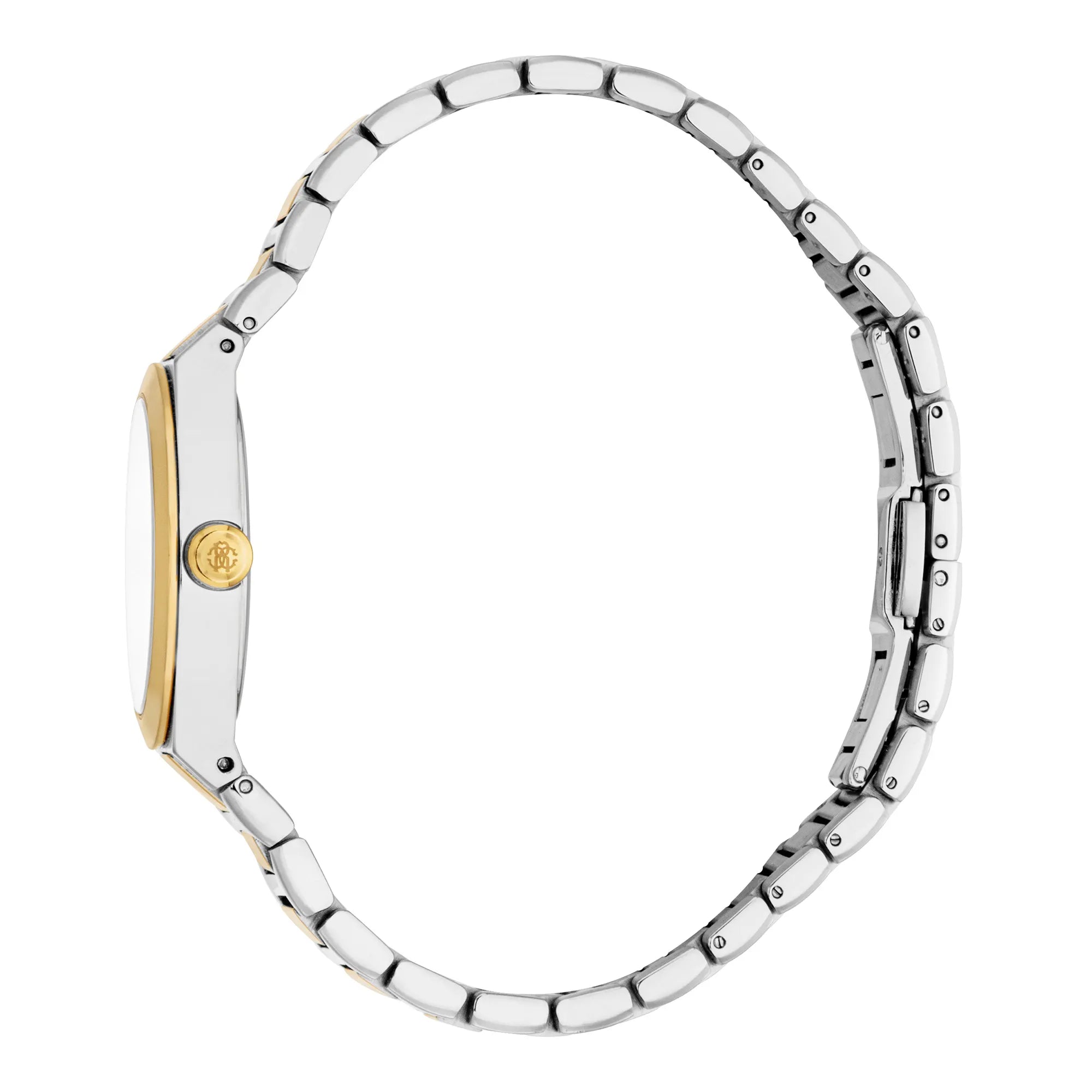 Roberto Cavalli Lady RC5L126M0055 image 2