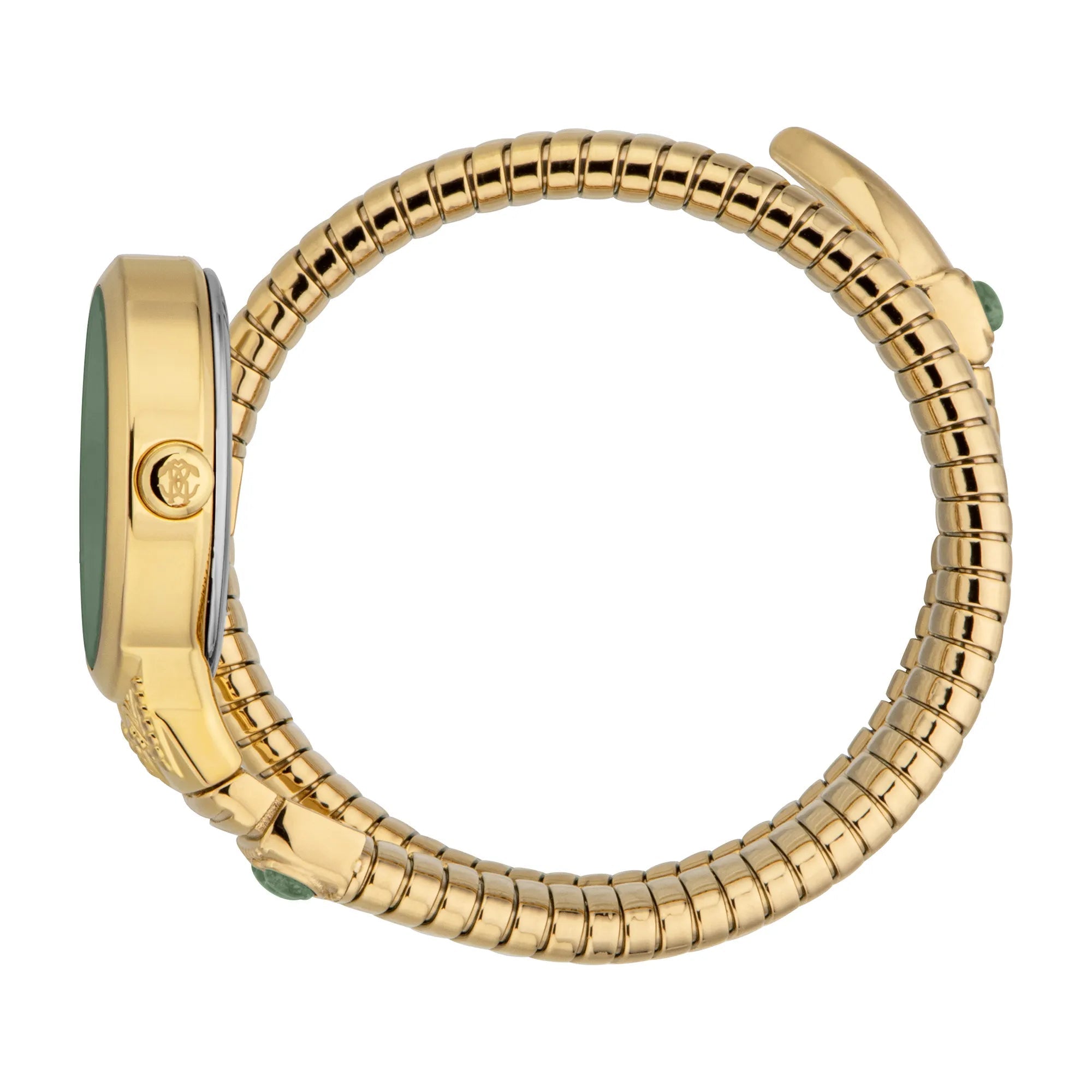 Roberto Cavalli Lady RC5L104M0025 image 2