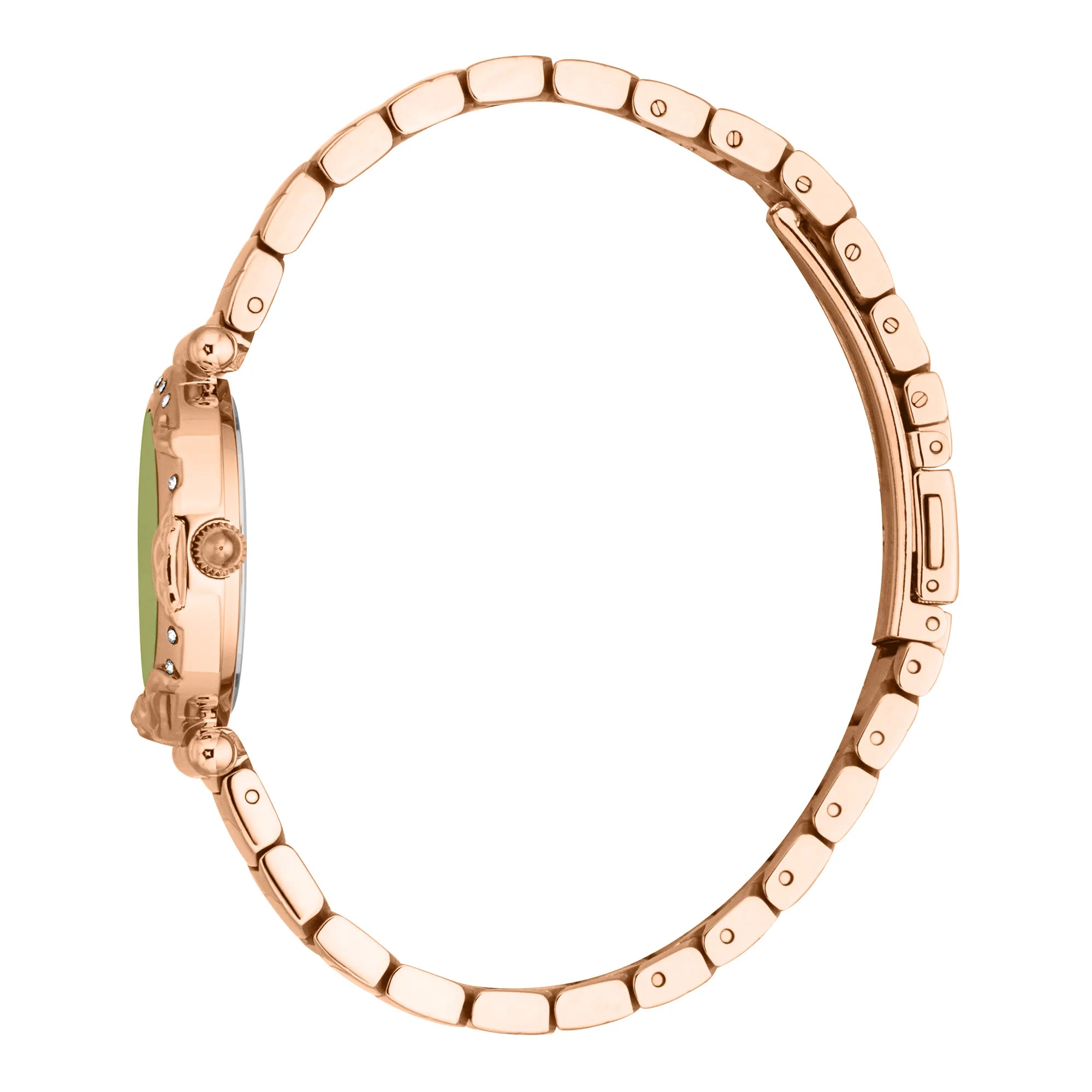 Just Cavalli Animalier Stella Snake Rose Gold Green image 2