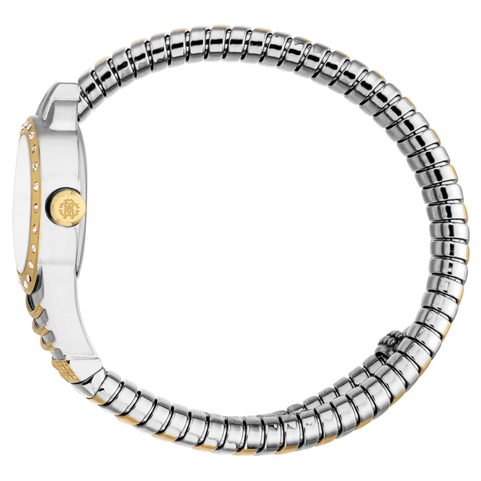 Roberto Cavalli Lady RC5L114M0065 image 2