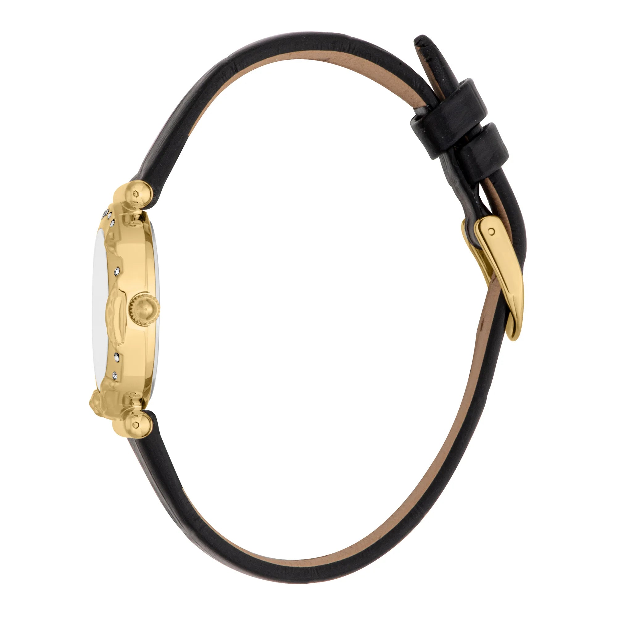 Just Cavalli Animalier Stella Snake Leather Black YG Silver image 2