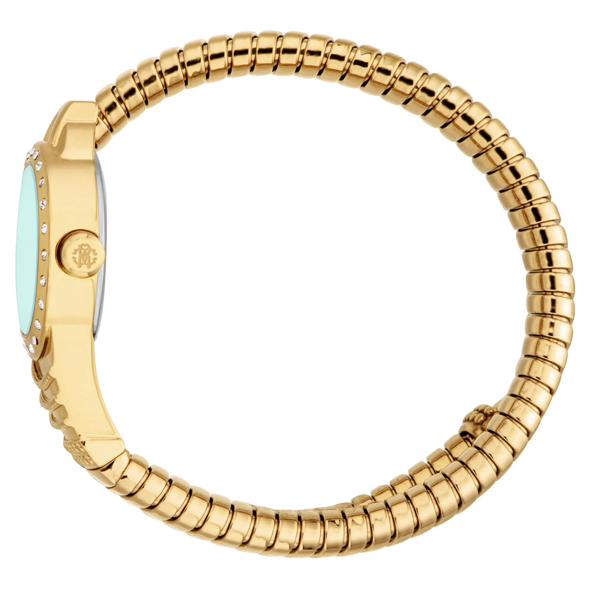 Roberto Cavalli Lady RC5L114M0045 image 2