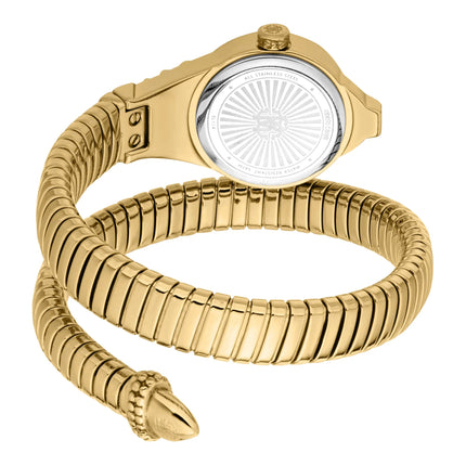 Roberto Cavalli Lady RC5L114M0035 image 1