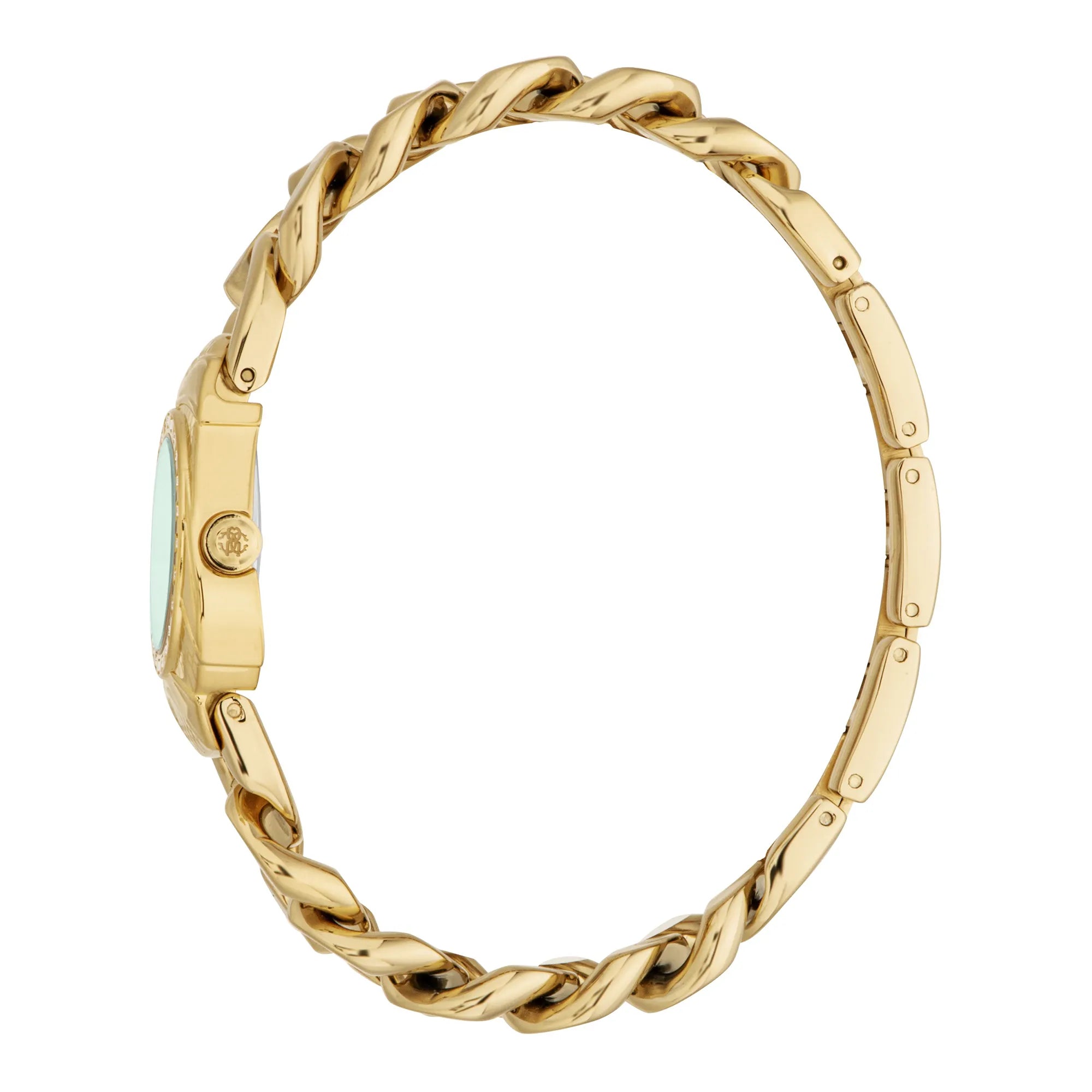 Roberto Cavalli Lady RC5L093M0035 image 2