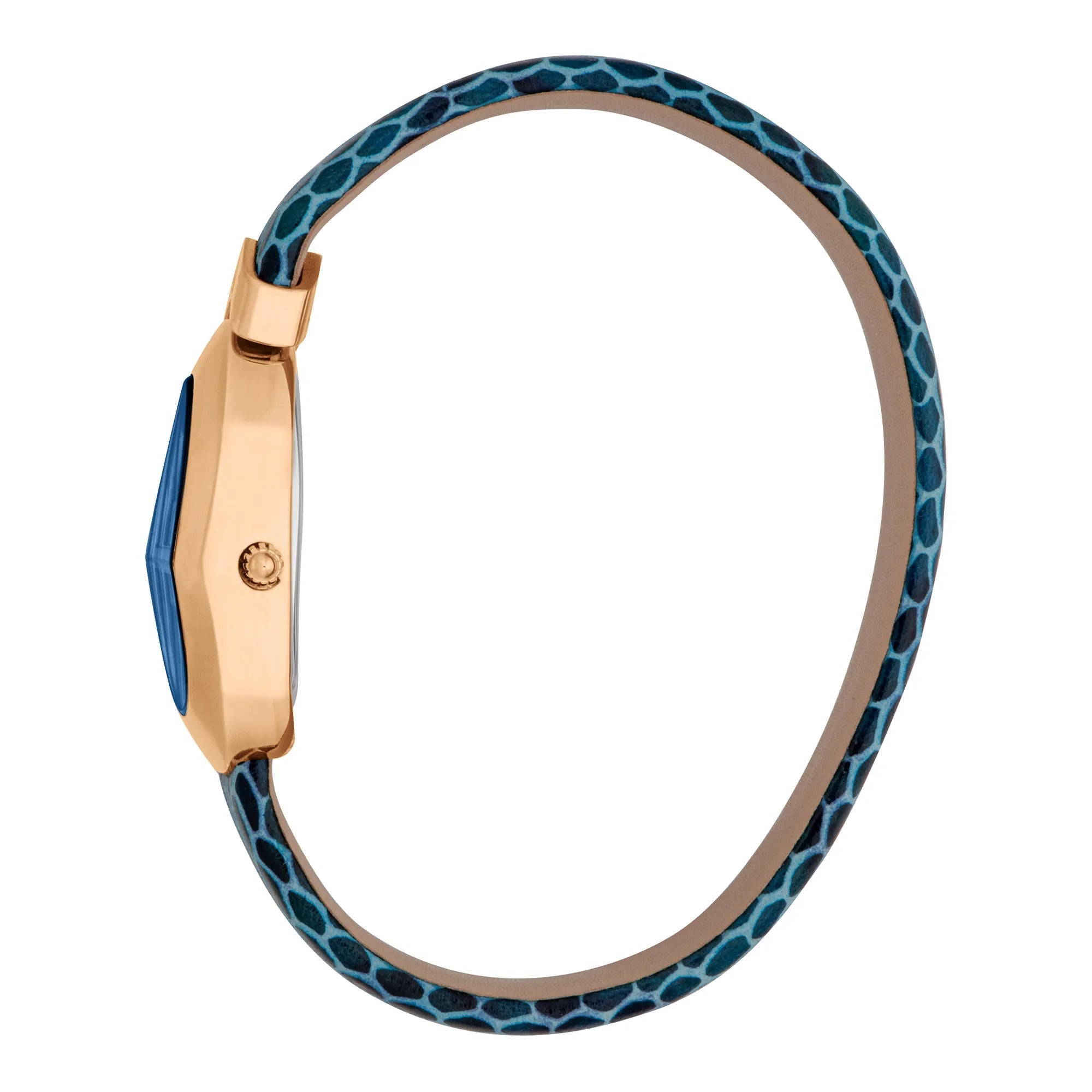 Just Cavalli Signature Snake Diversa Snake Blu image 2
