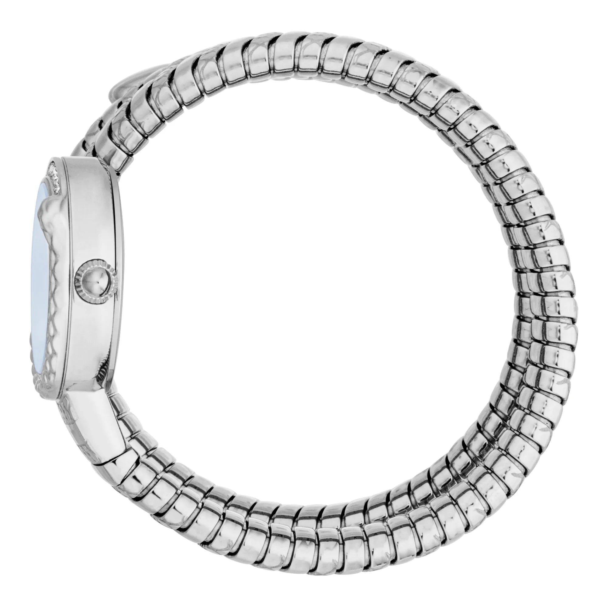 Just Cavalli Signature Snake Enchanting Silver Blue image 2