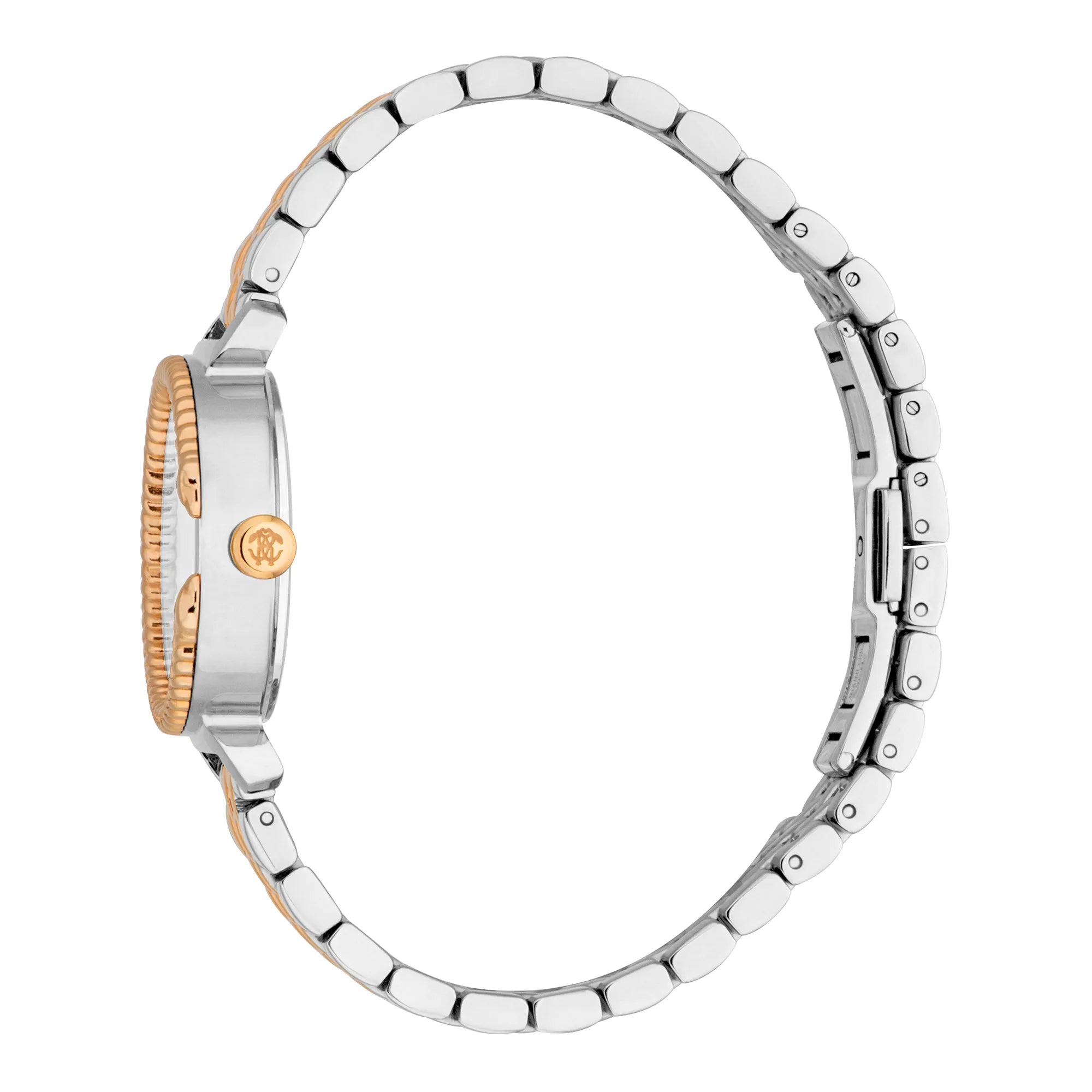 Roberto Cavalli Women's Origin Watch image 2