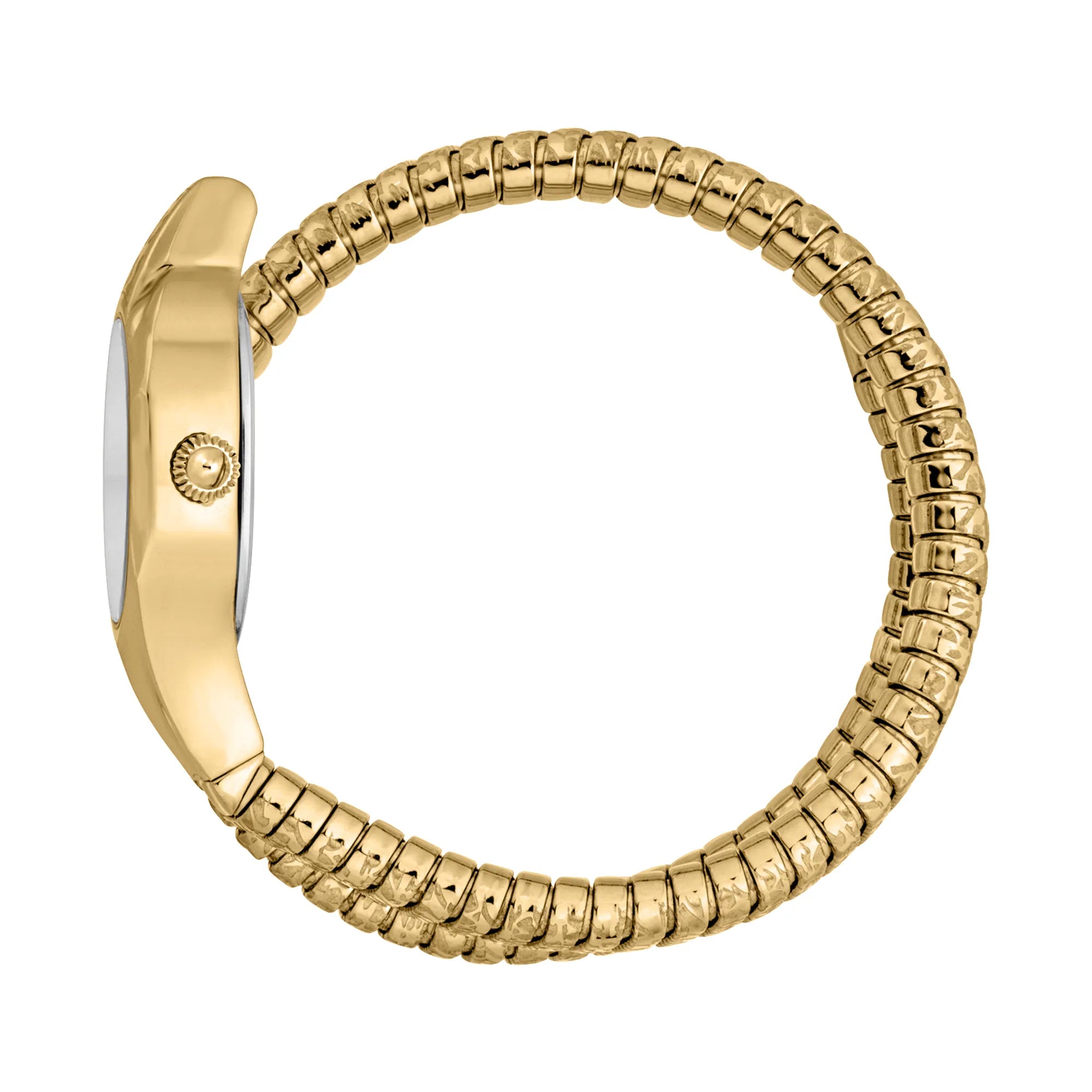 Just Cavalli Signature Snake Amalfi JC1L270M0025 image 2