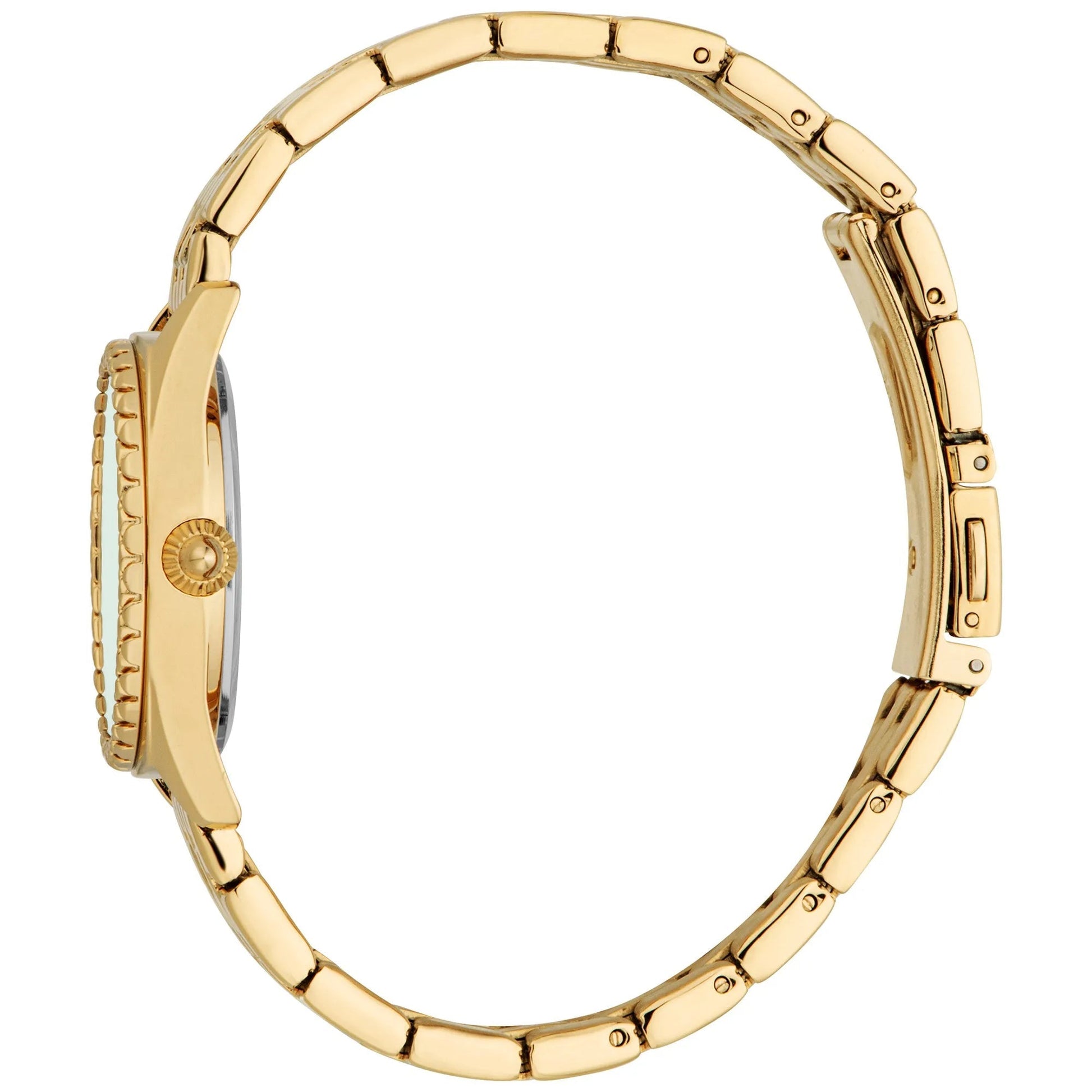 Just Cavalli SET Indomitable Animalier Yellow Gold Green image 2