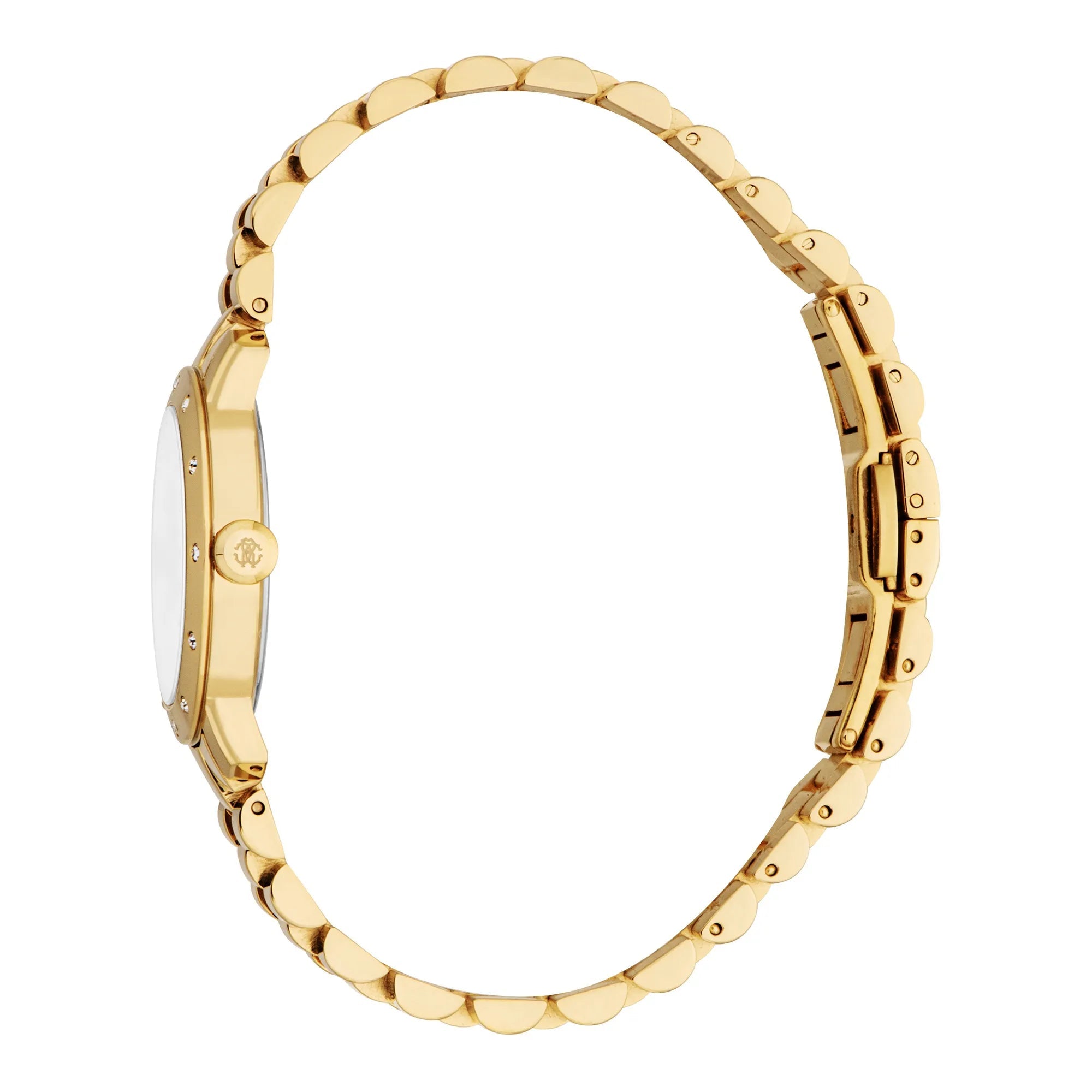 Roberto Cavalli Lady RC5L125M0055 image 2