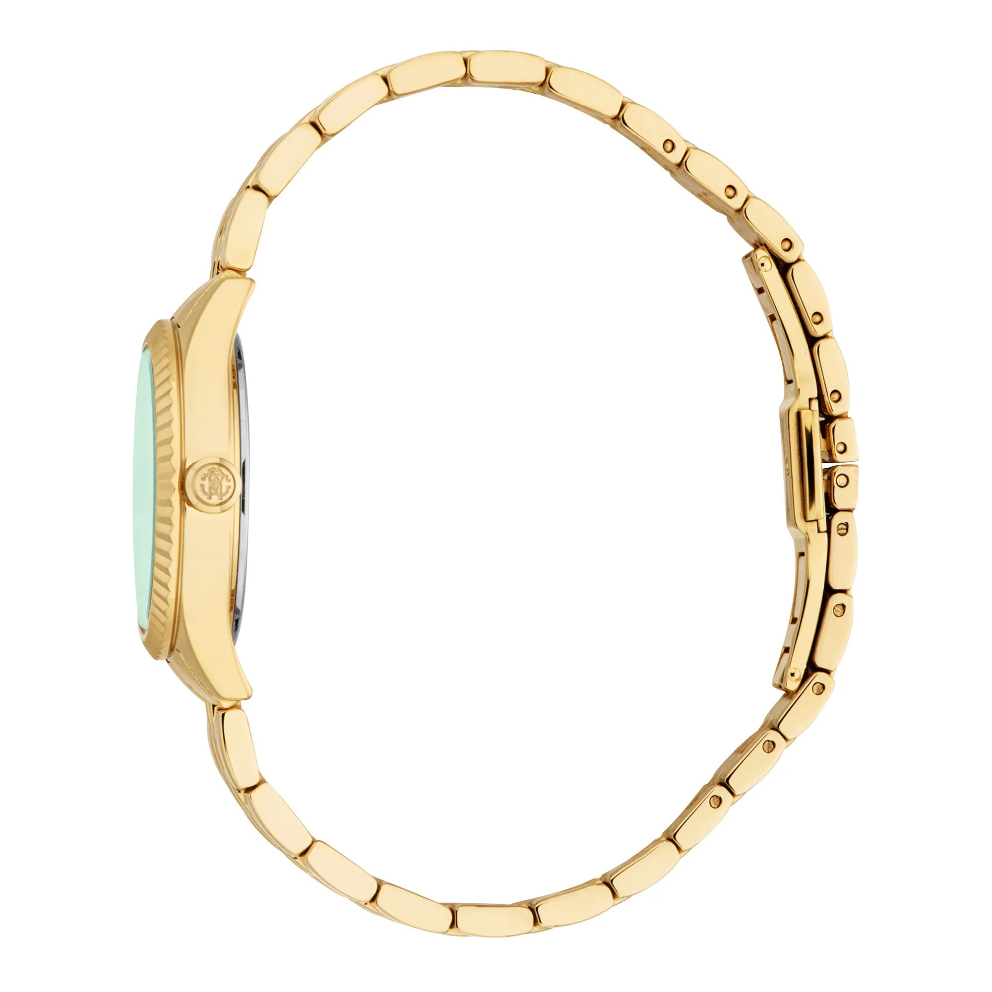 Roberto Cavalli Lady RC5L124M0065 image 2