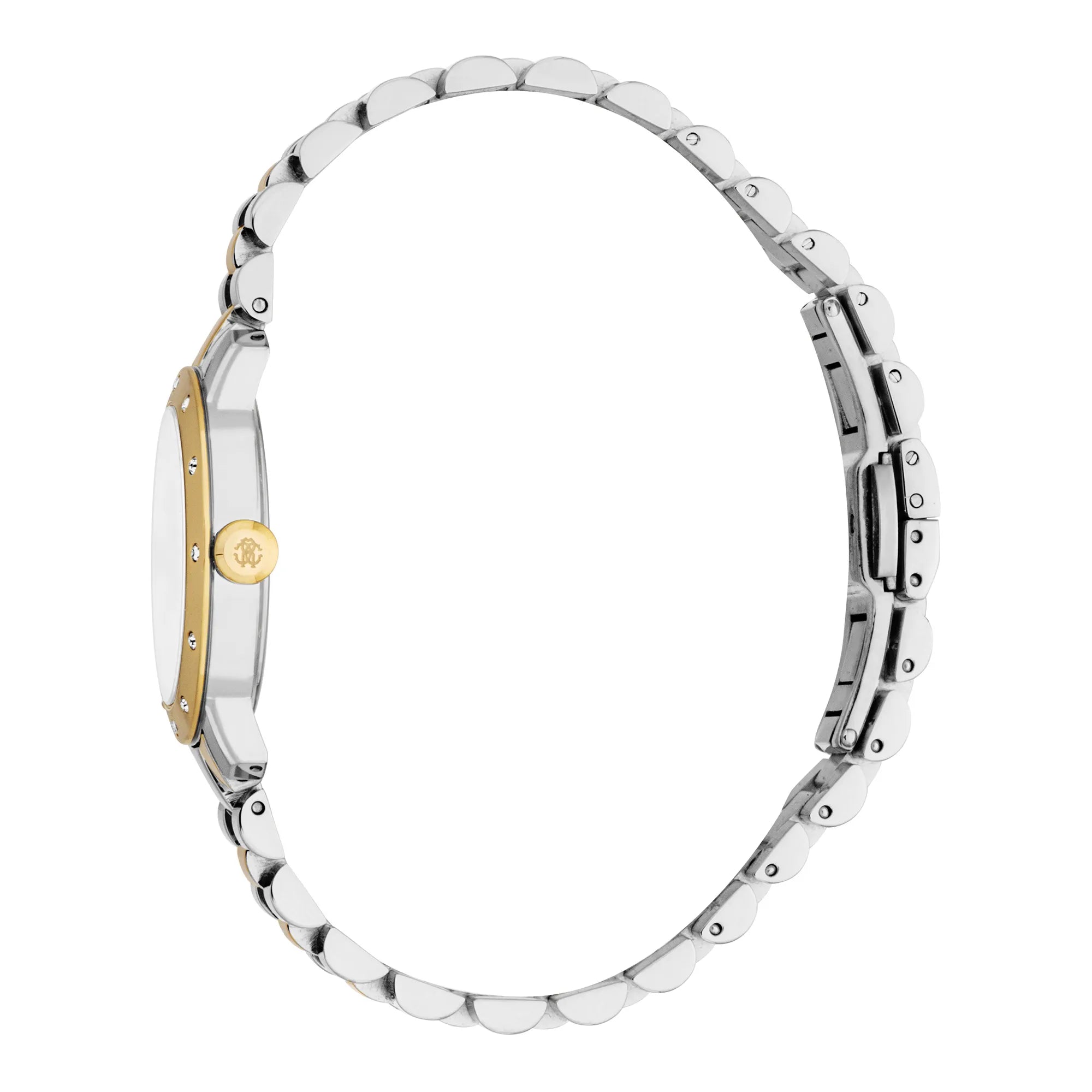 Roberto Cavalli Lady RC5L125M0065 image 2