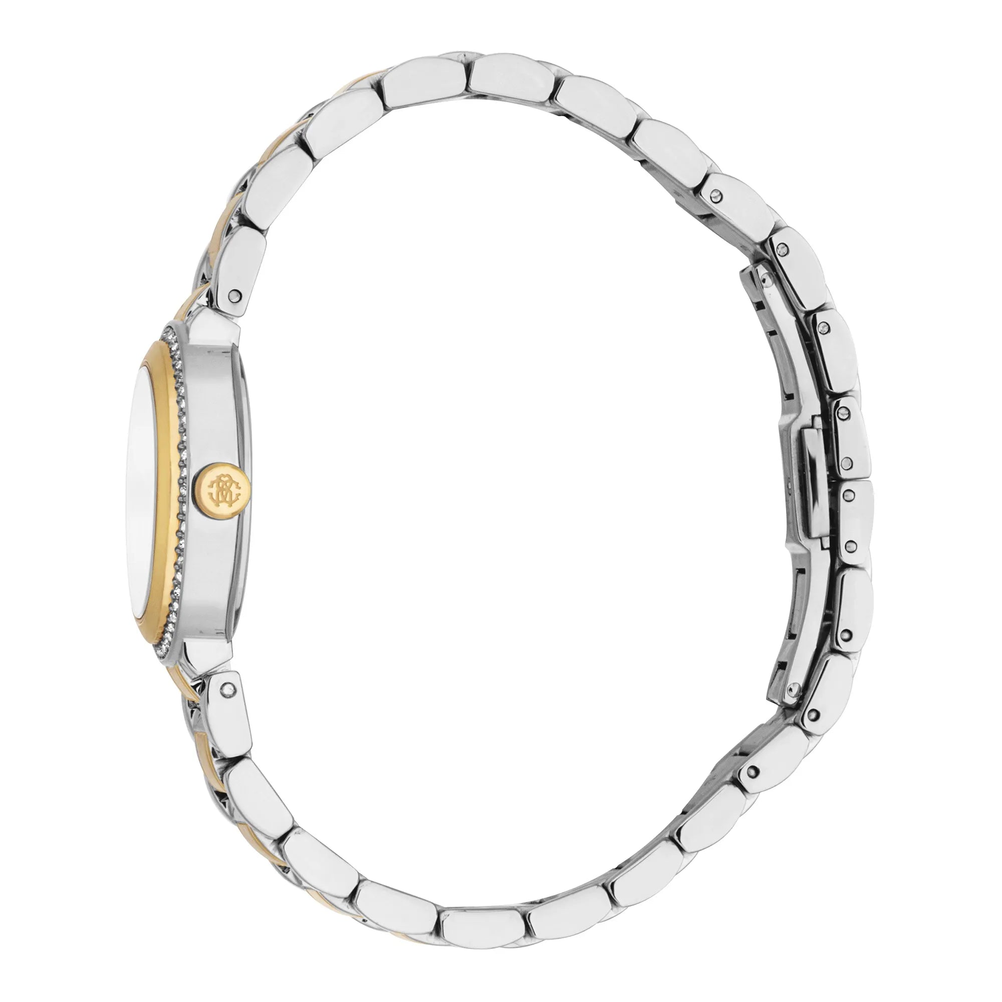 Roberto Cavalli Lady RC5L123M0085 image 2