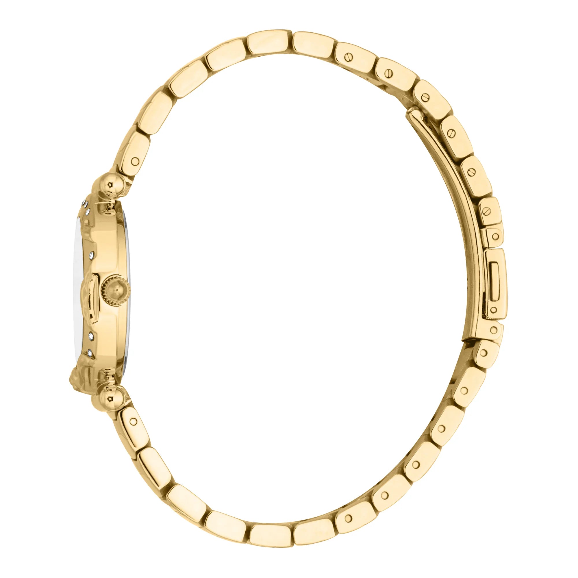 Just Cavalli Animalier Stella Snake Yellow Gold Silver image 2