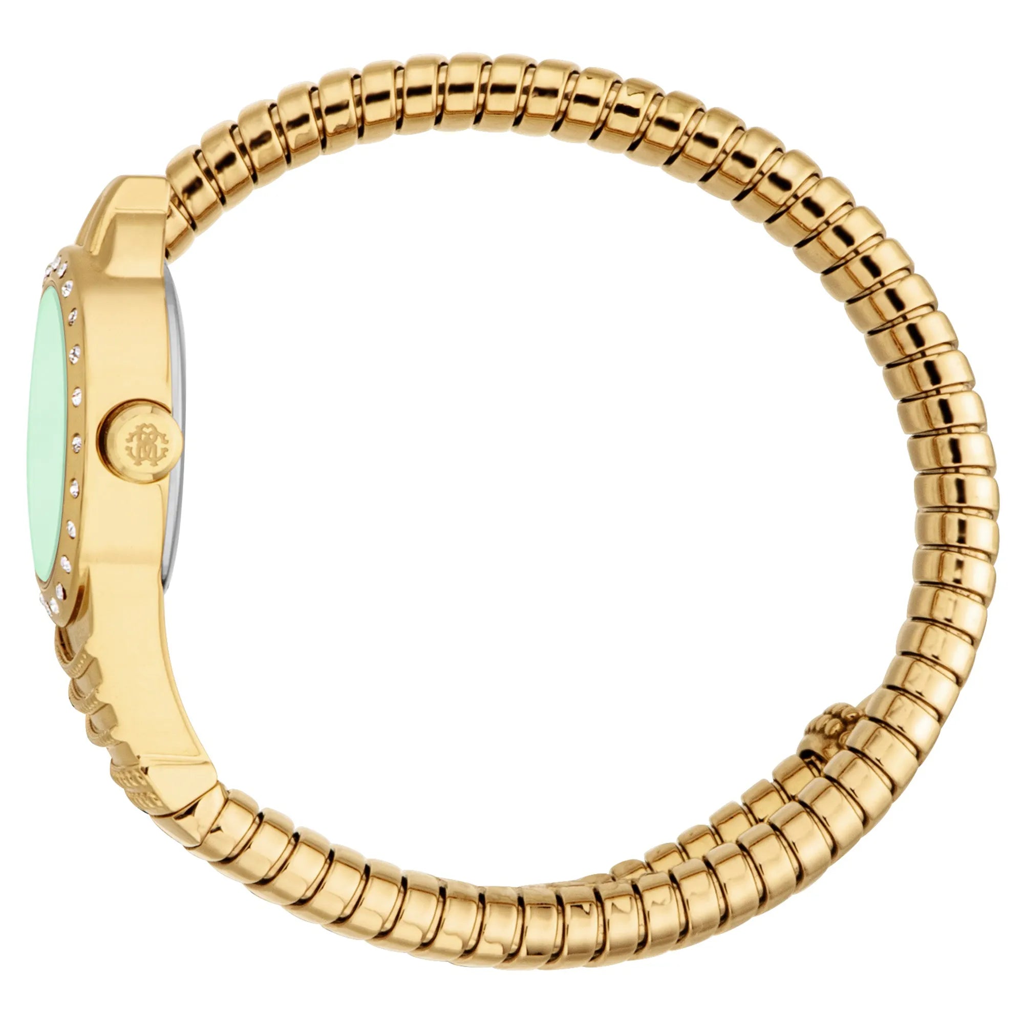 Roberto Cavalli Lady RC5L114M0035 image 2