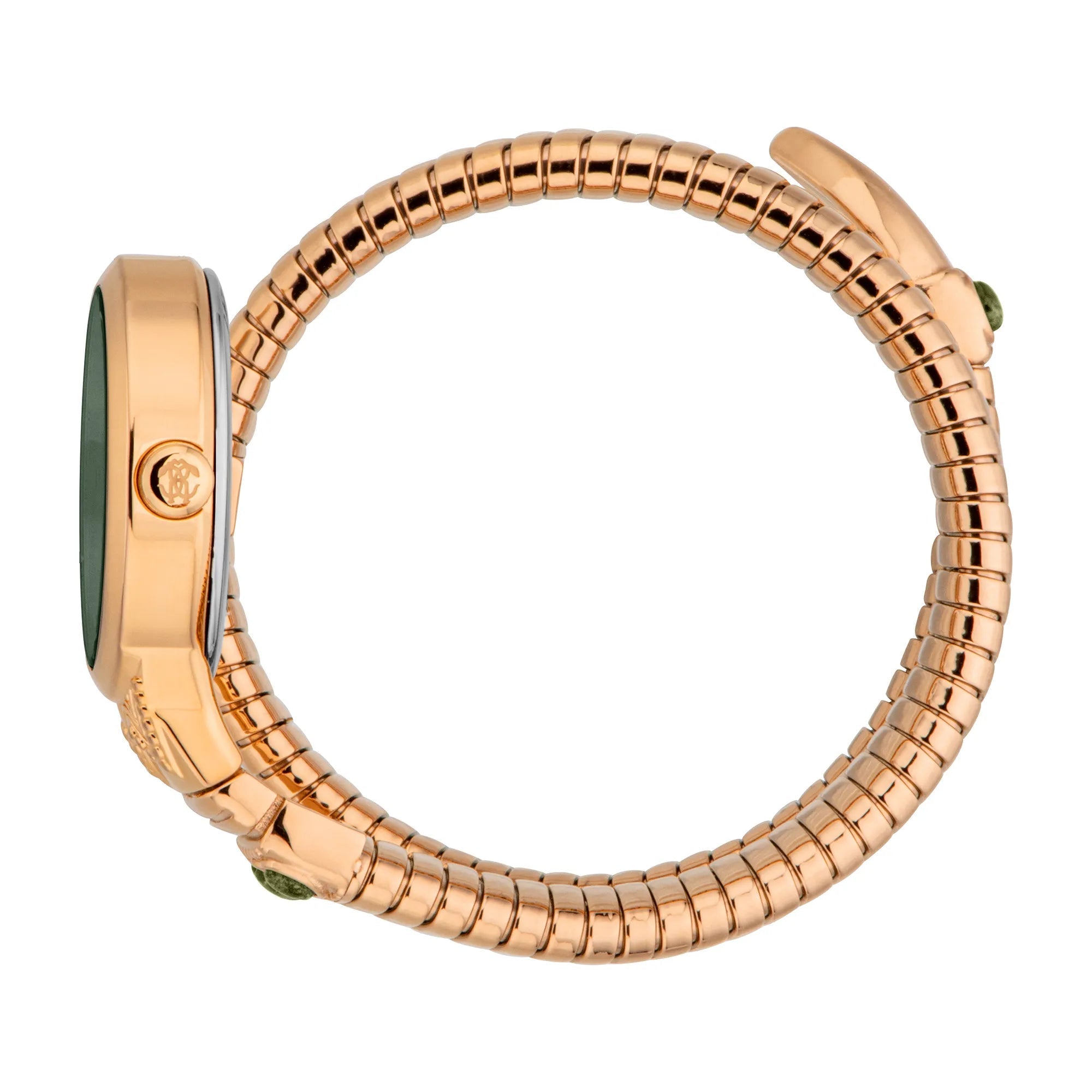 Roberto Cavalli Lady RC5L104M0045 image 2