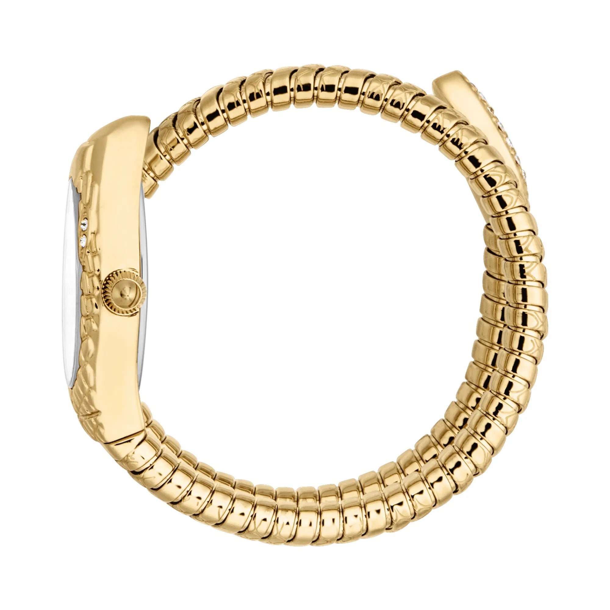 Just Cavalli Signature Snake Vetra Yellow Gold Silver image 2