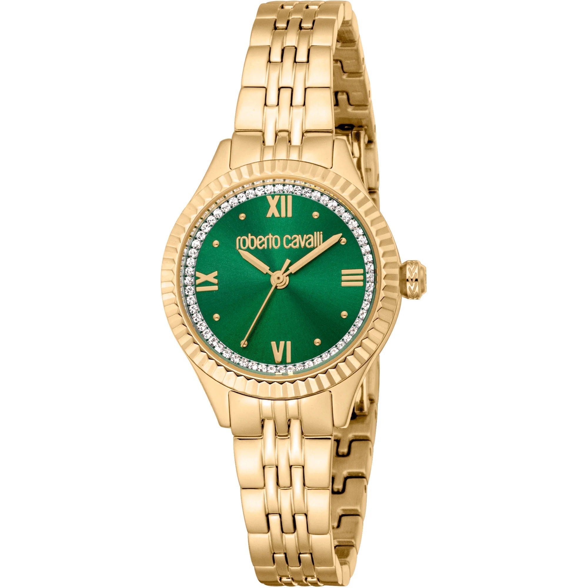 Roberto Cavalli Lady RC5L124M0065 image 0