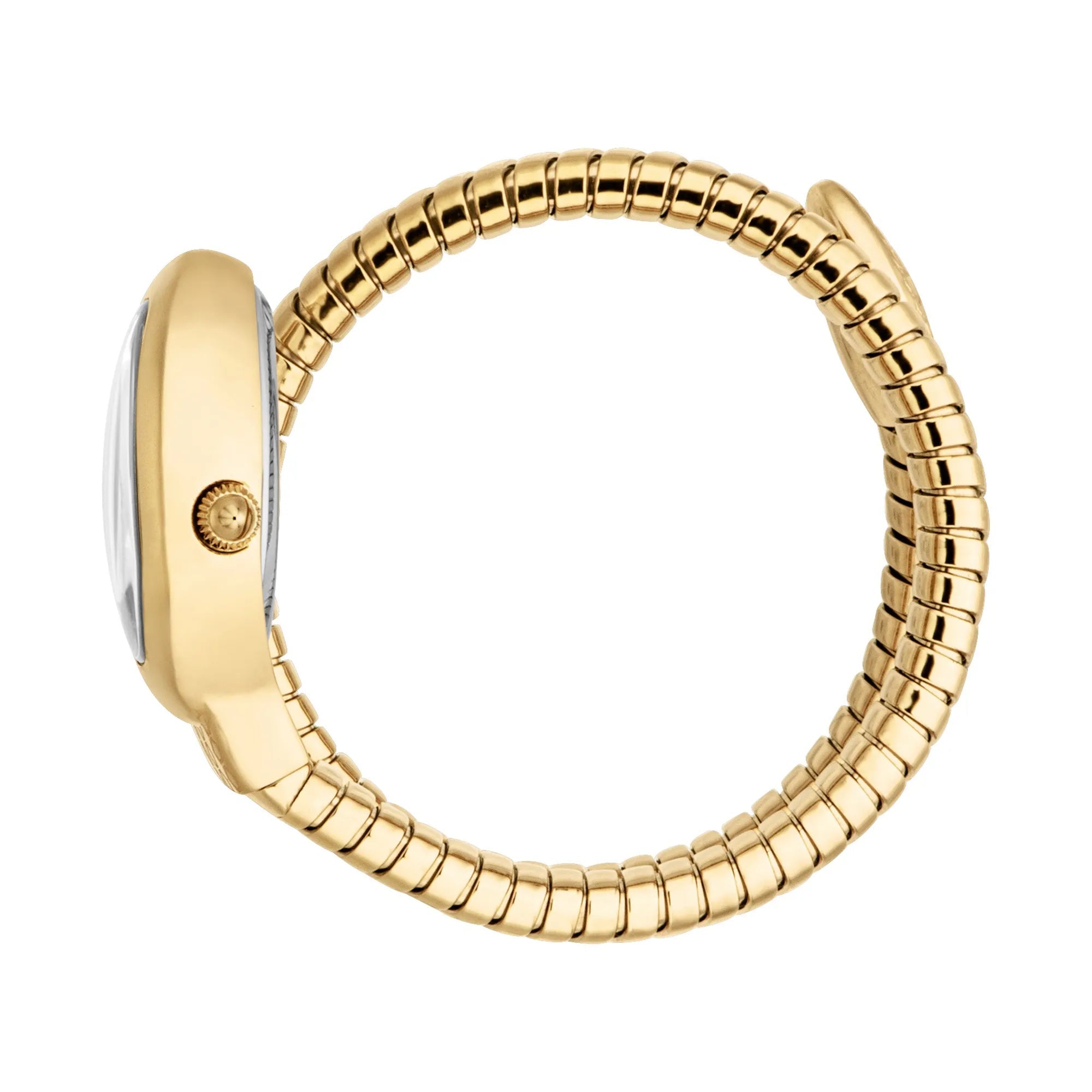 Just Cavalli Signature Snake Eclisse Yellow Gold Silver image 2