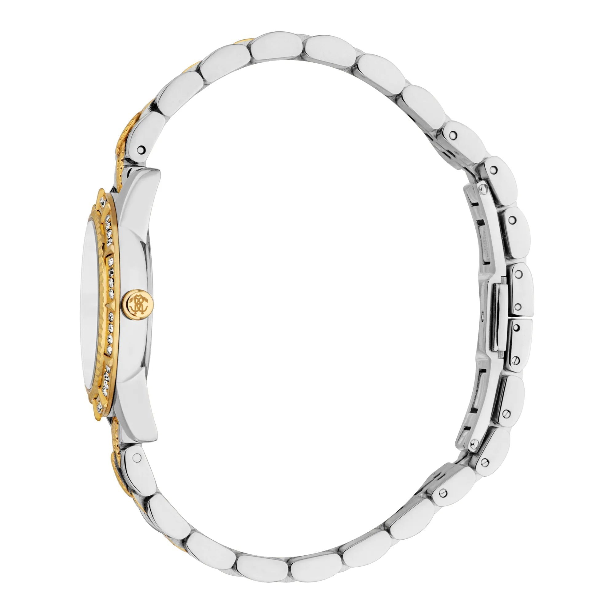 Roberto Cavalli Women's Wild Original Watch image 2