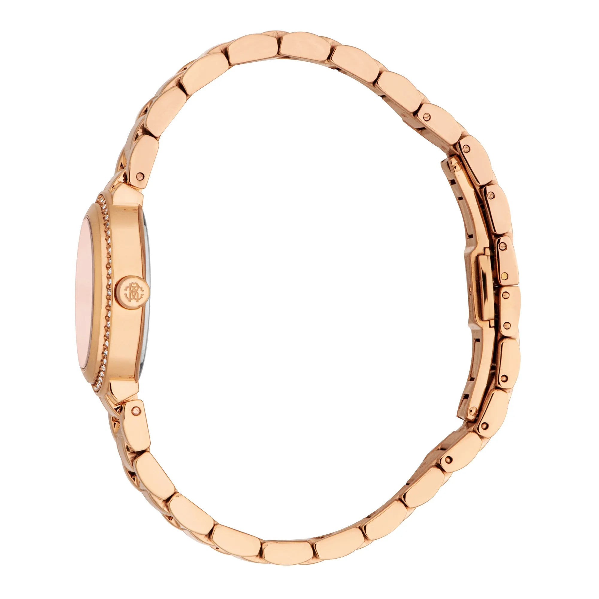 Roberto Cavalli Lady RC5L123M0075 image 2