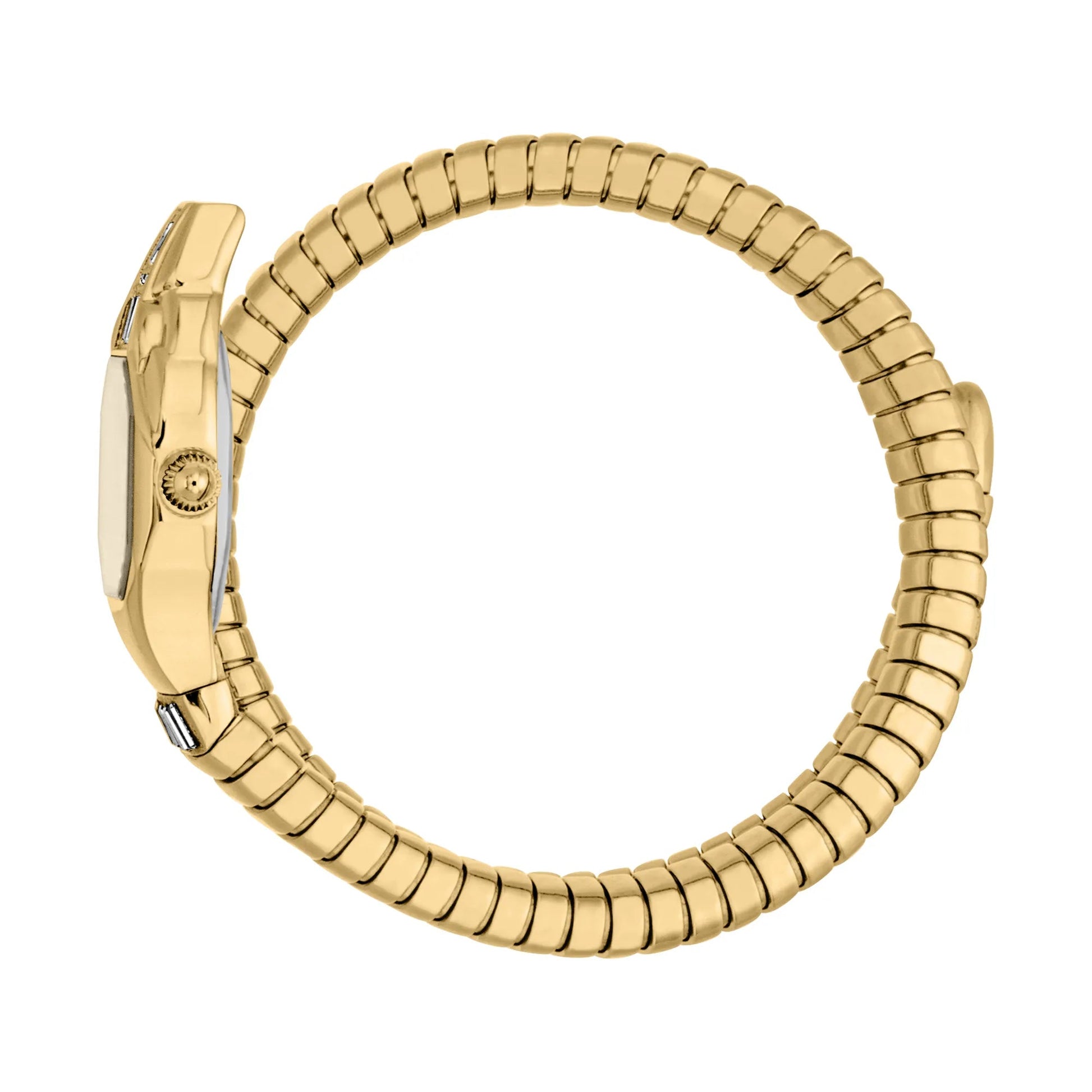 Just Cavalli Signature Snake Brillante Snake Yellow Gold Champagne image 2