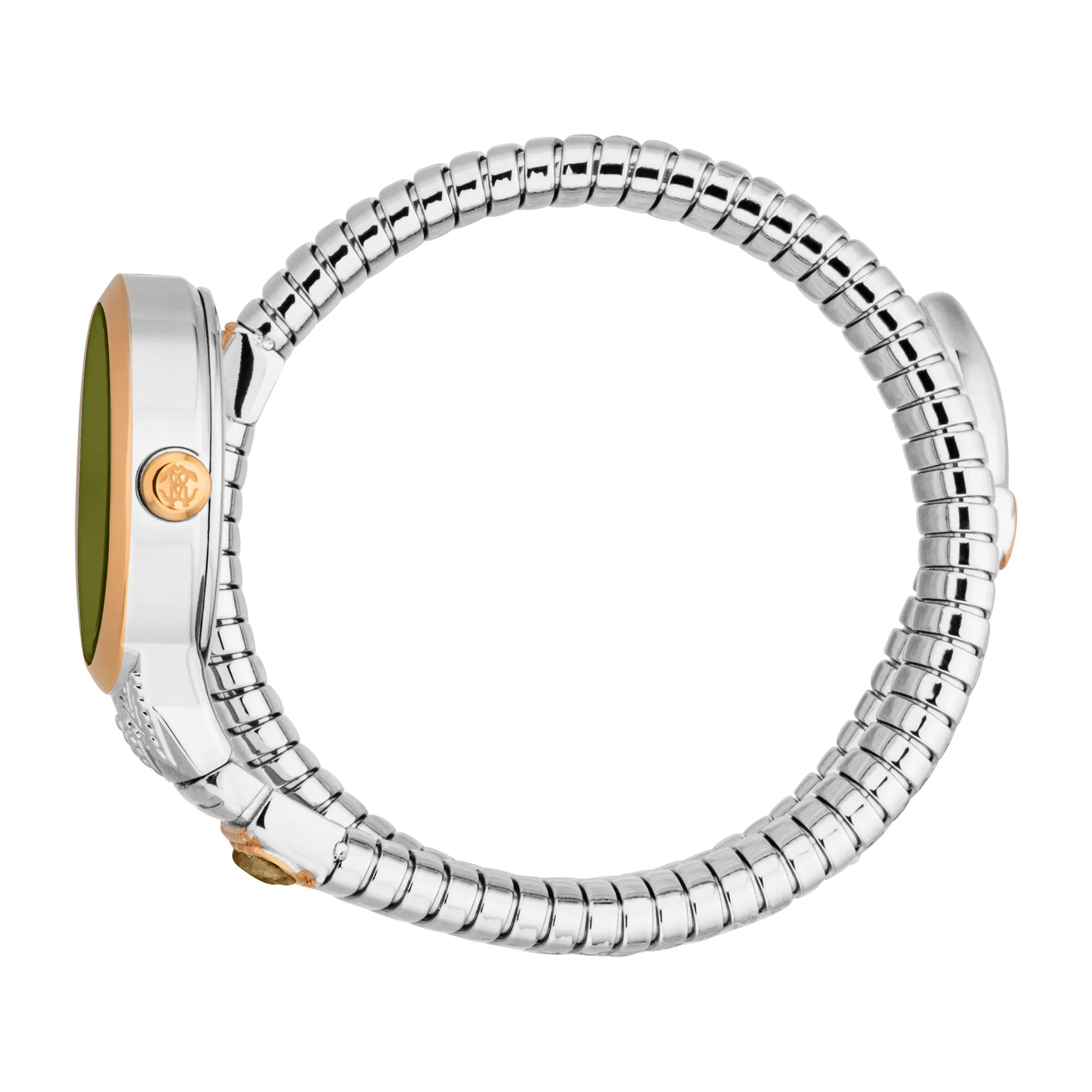 Roberto Cavalli Lady RC5L104M0075 image 2