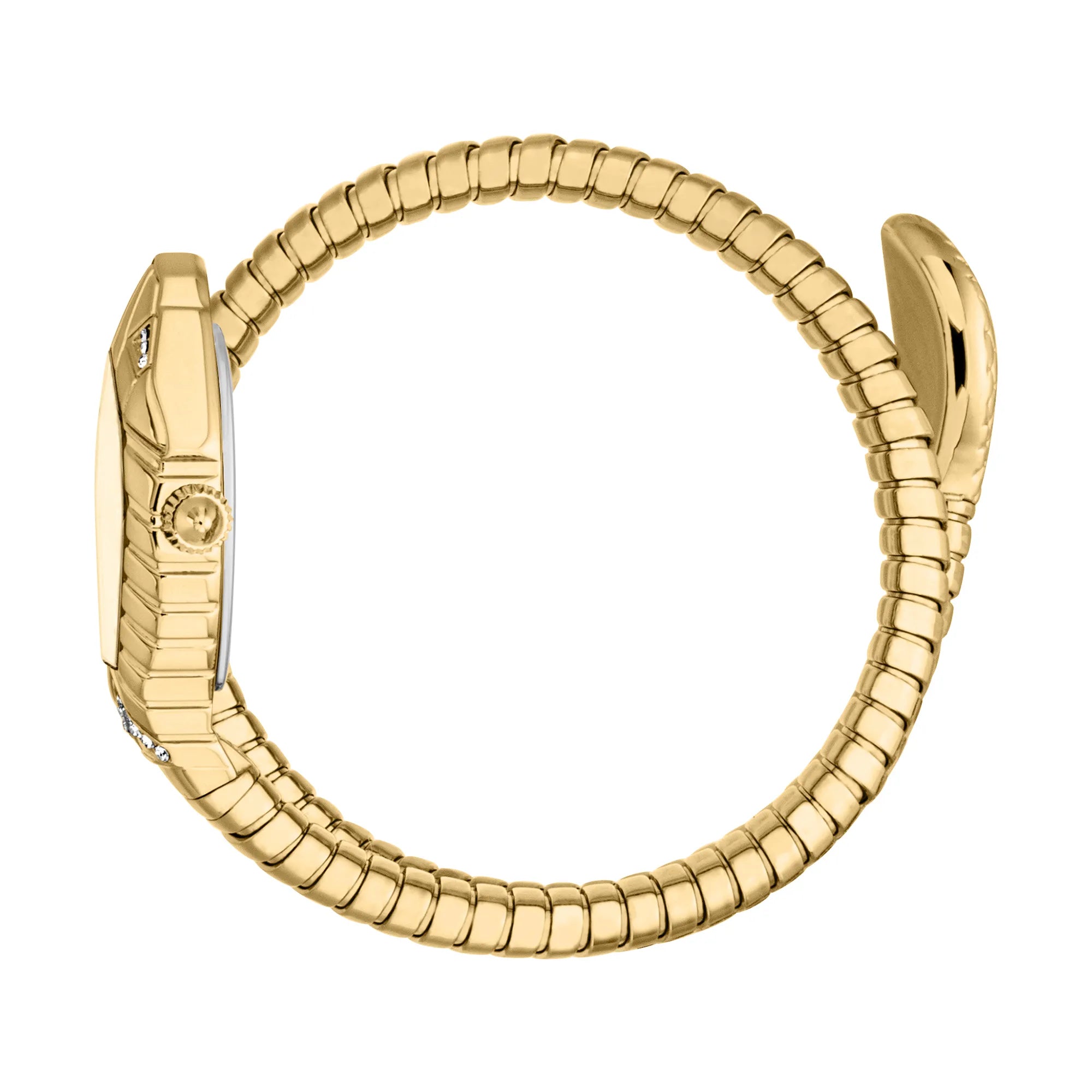 Just Cavalli Signature Snake Speranza Yellow Gold Champagne image 2