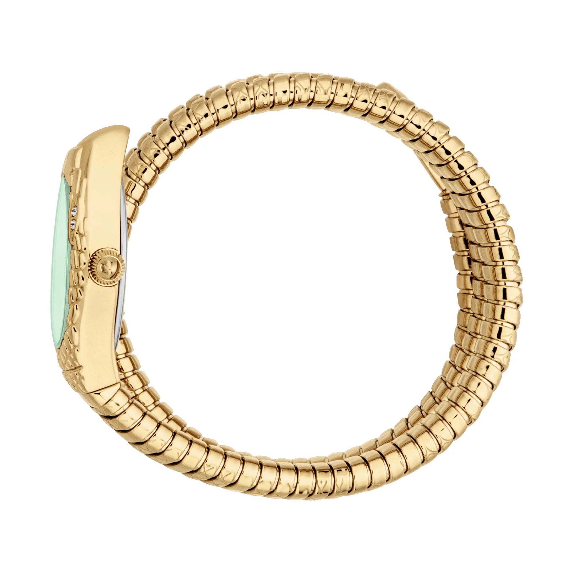 Just Cavalli Signature Snake Aurela Yellow Gold Green image 2