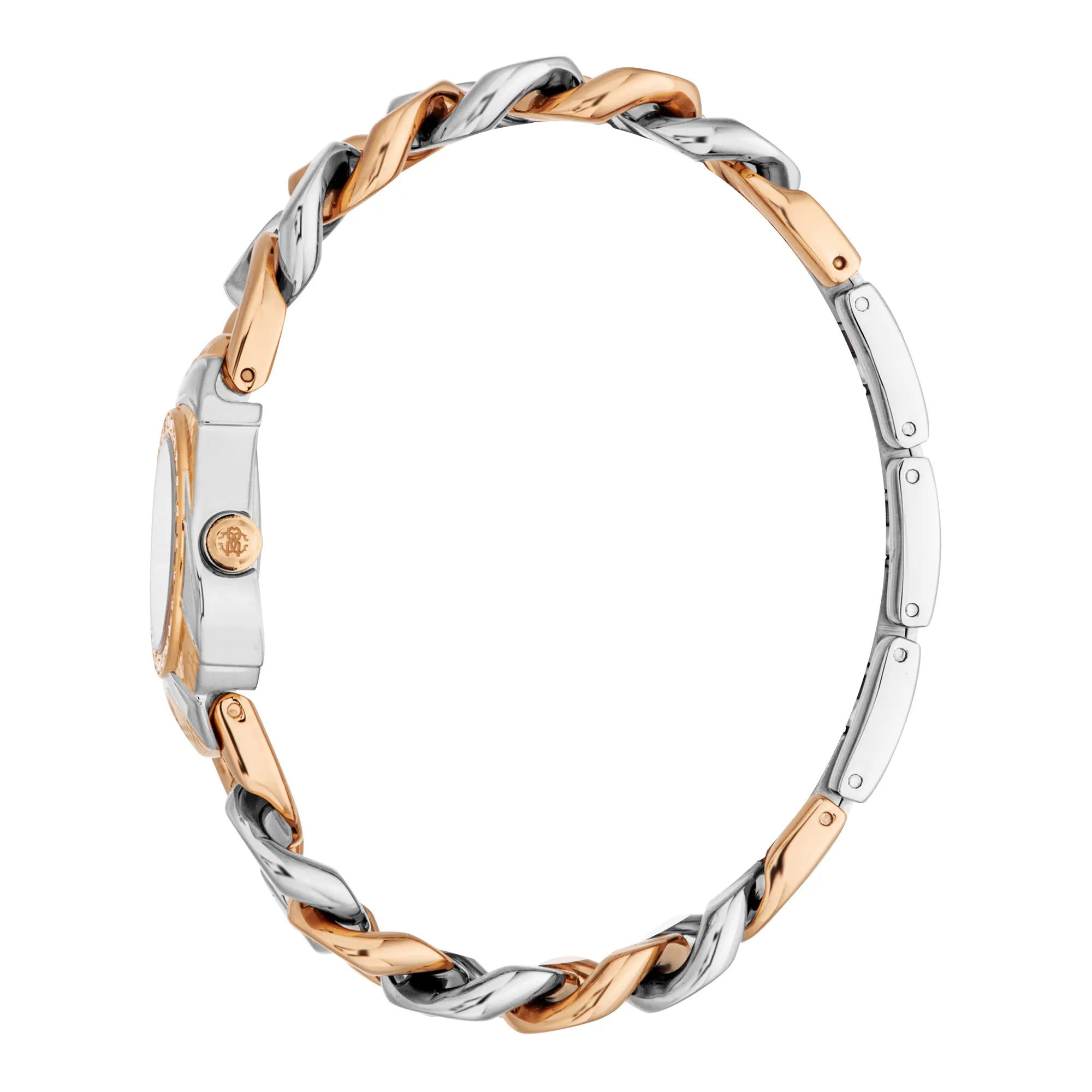 Roberto Cavalli Lady RC5L093M0065 image 2