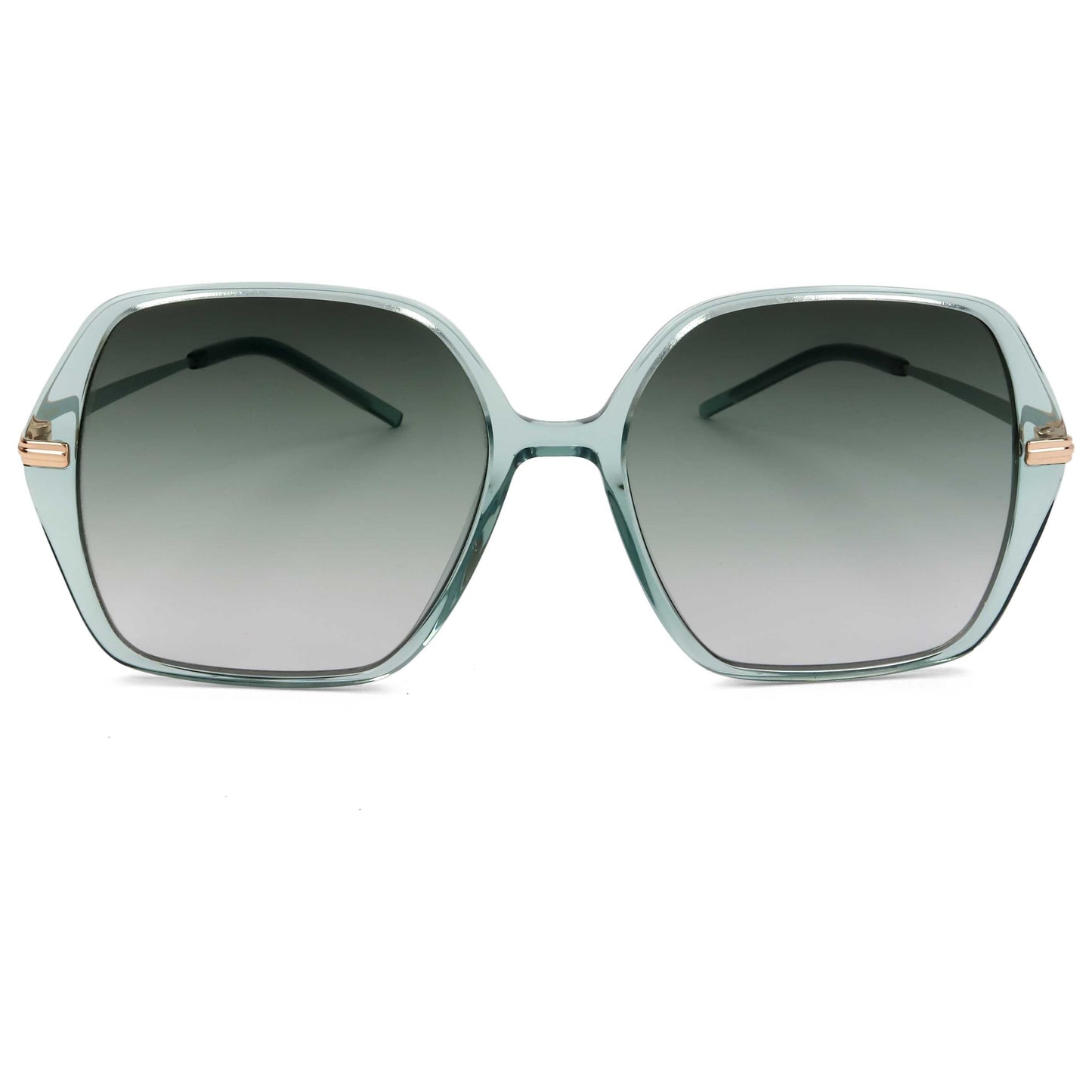 Hugo Boss Women's Sunglasses BOSS1660-S-PEF-IB