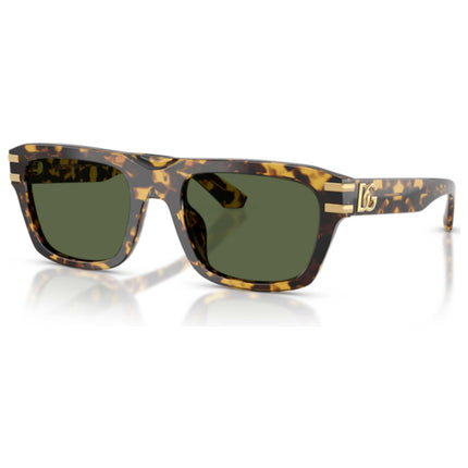 Dolce & Gabbana Men's Sunglasses DG4496-333071-54