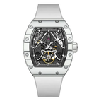 Aurora Argentum