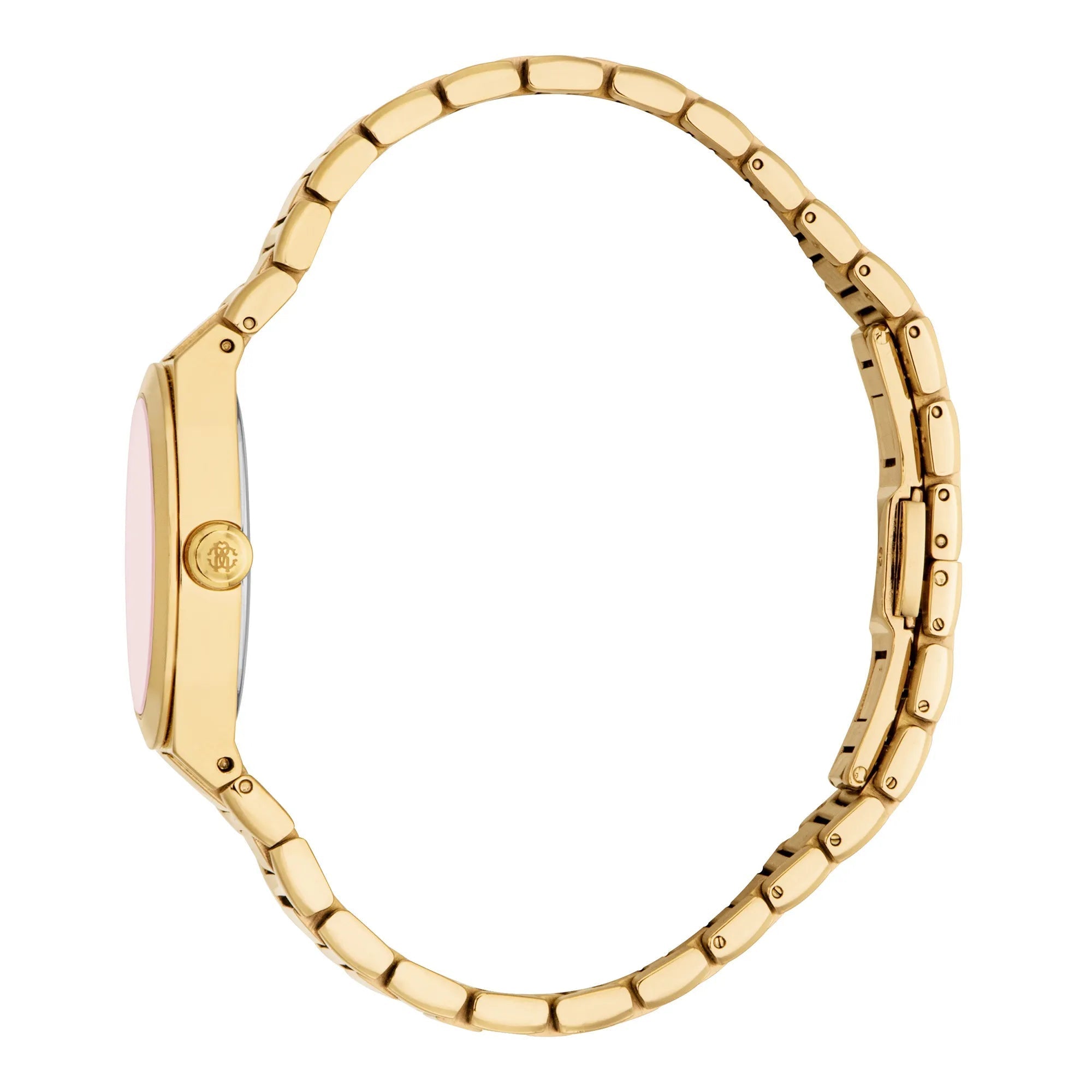 Roberto Cavalli Lady RC5L126M0035 image 2