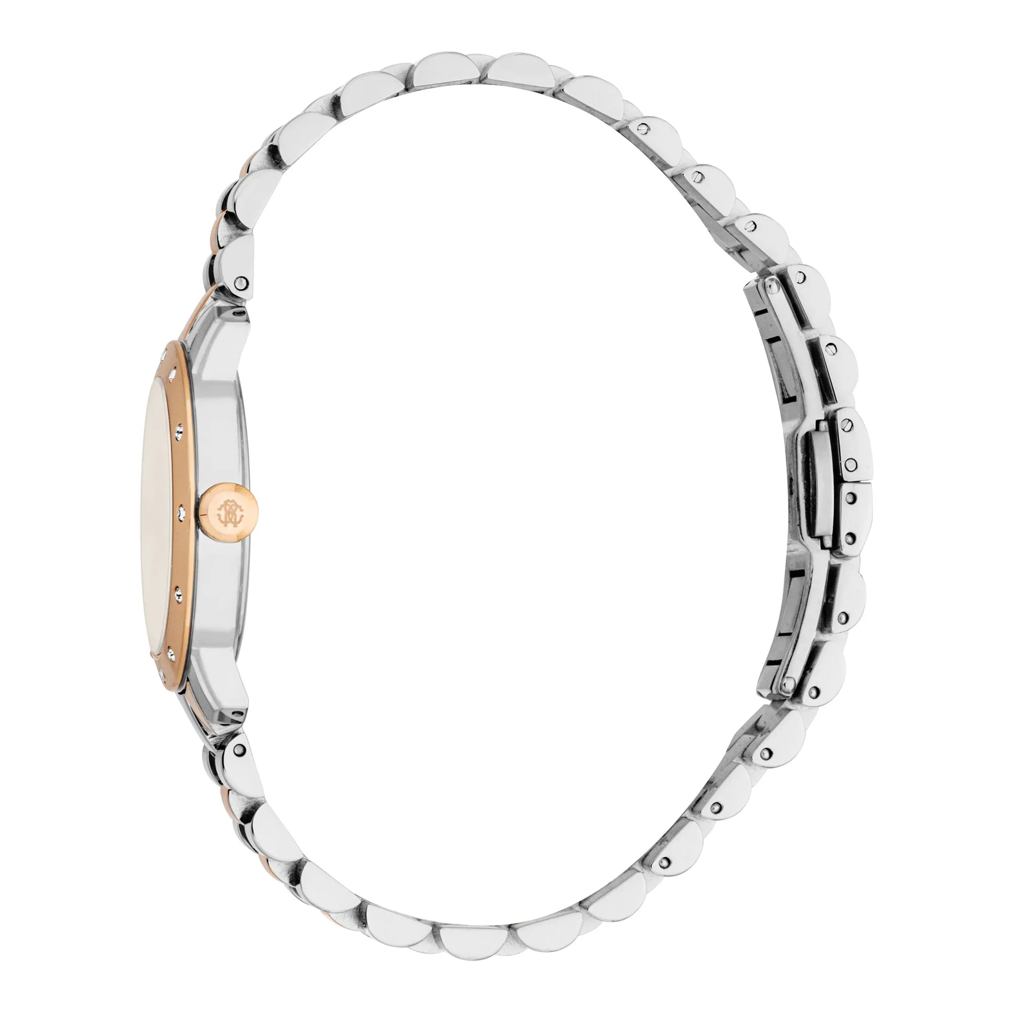 Roberto Cavalli Lady RC5L125M0085 image 2