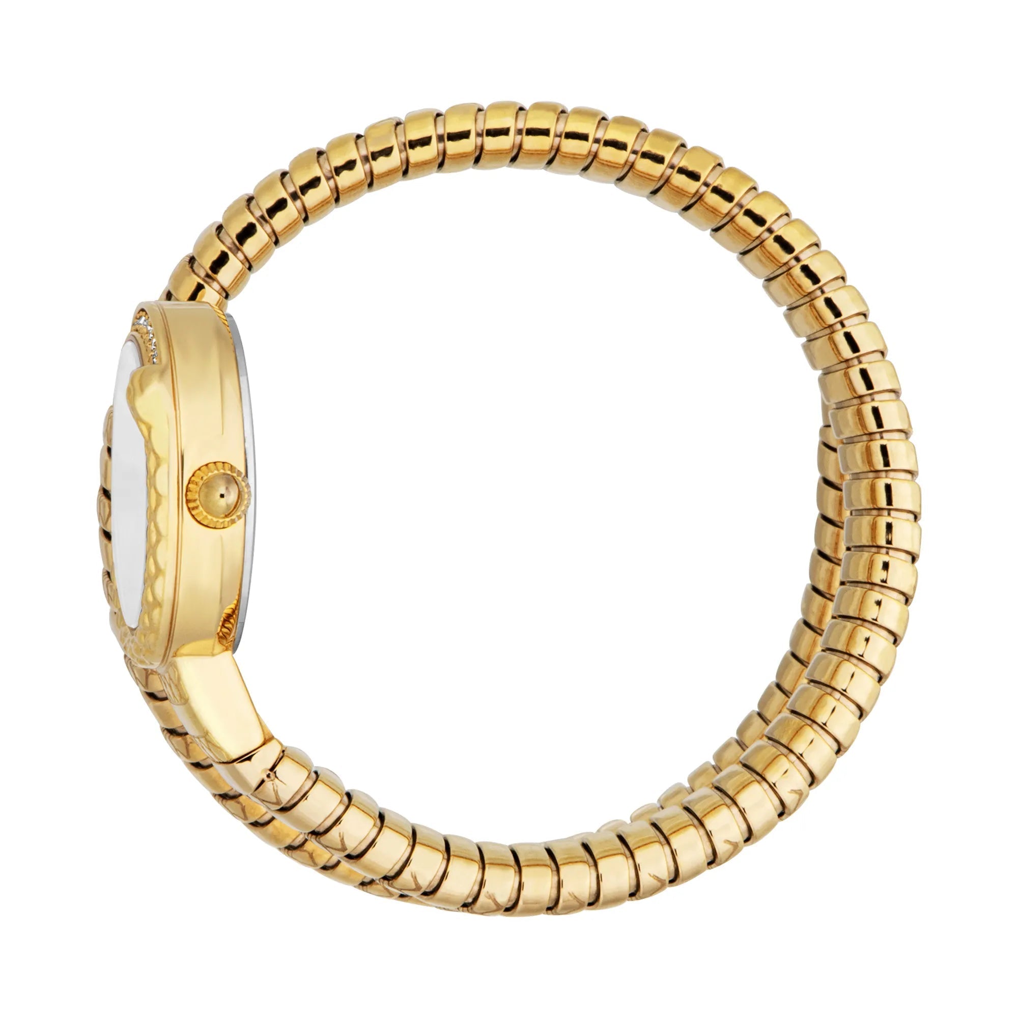 Just Cavalli Signature Snake Cerchio Snake Yellow Gold Silver Grey image 2