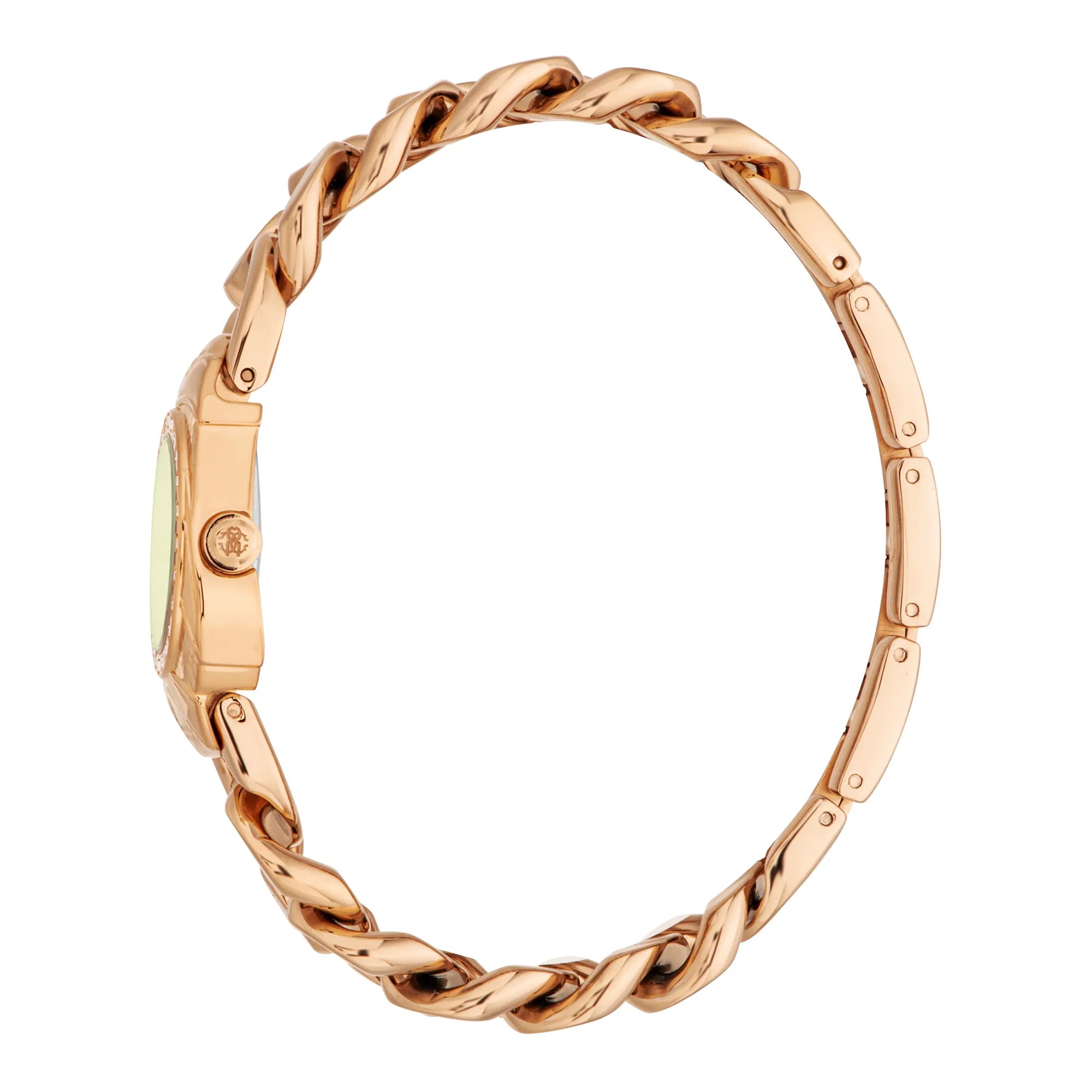 Roberto Cavalli Lady RC5L093M0045 image 2